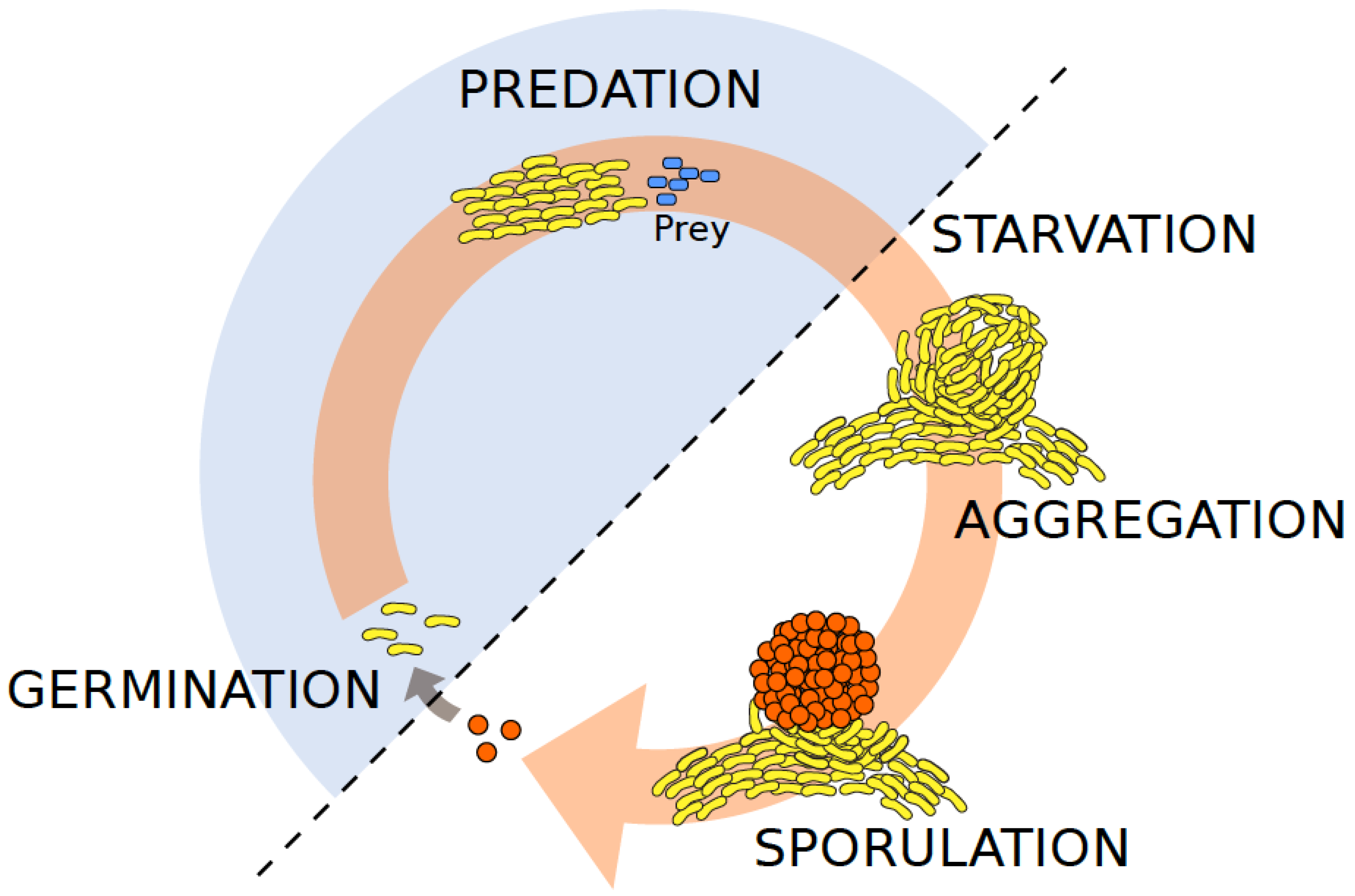 Viruses 10 00374 g001 Viruses 10 00374 g001