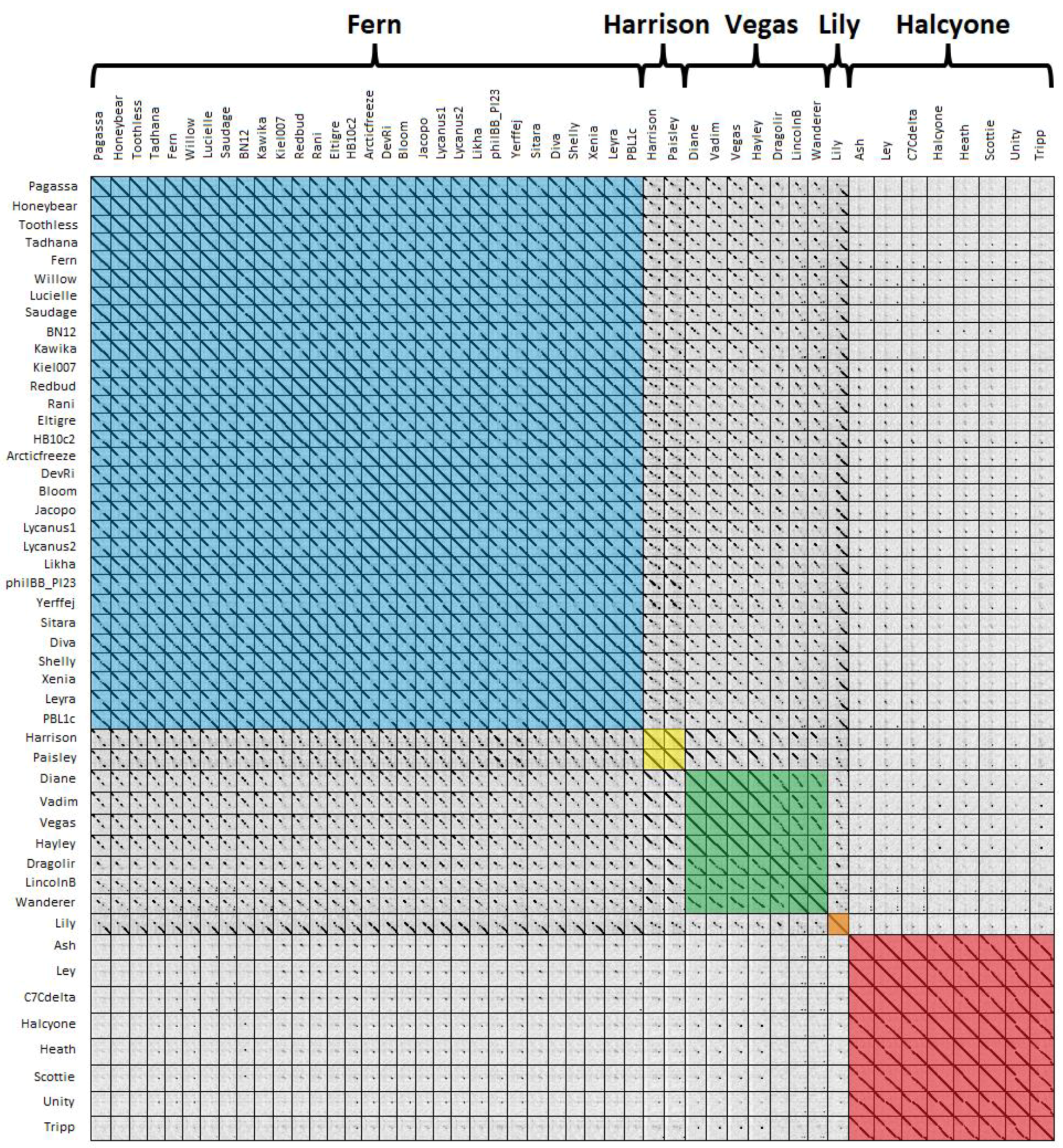 Viruses 10 00377 g005 Viruses 10 00377 g005