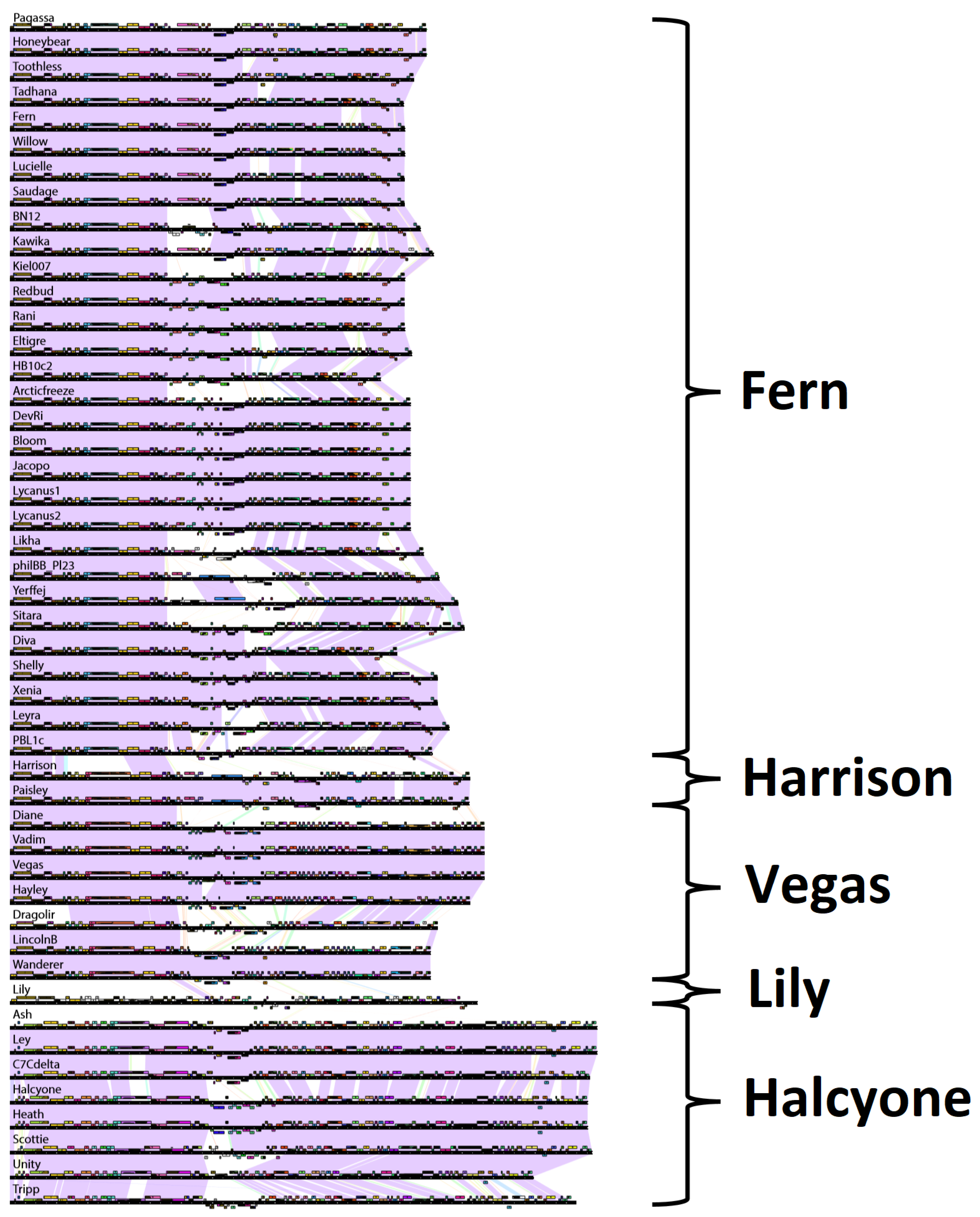 Viruses 10 00377 g006 Viruses 10 00377 g006
