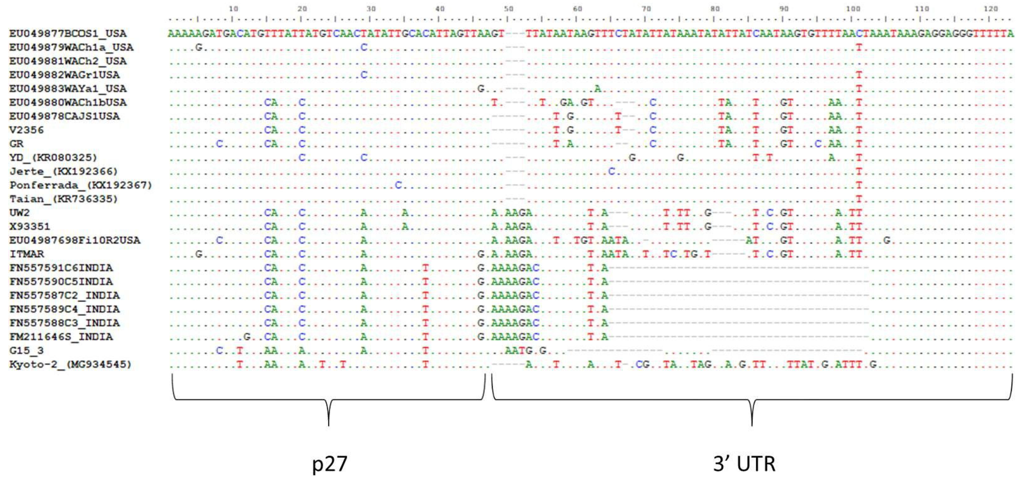Viruses 10 00385 g002