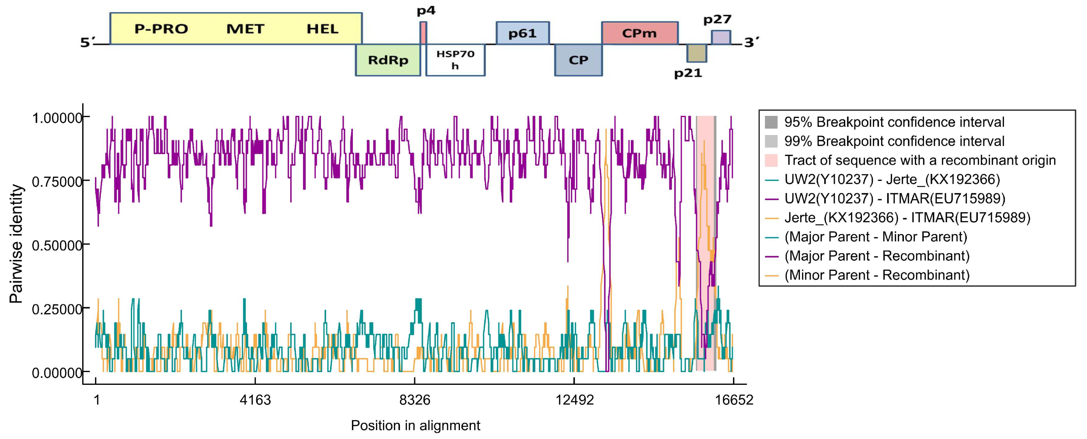 Viruses 10 00385 g003