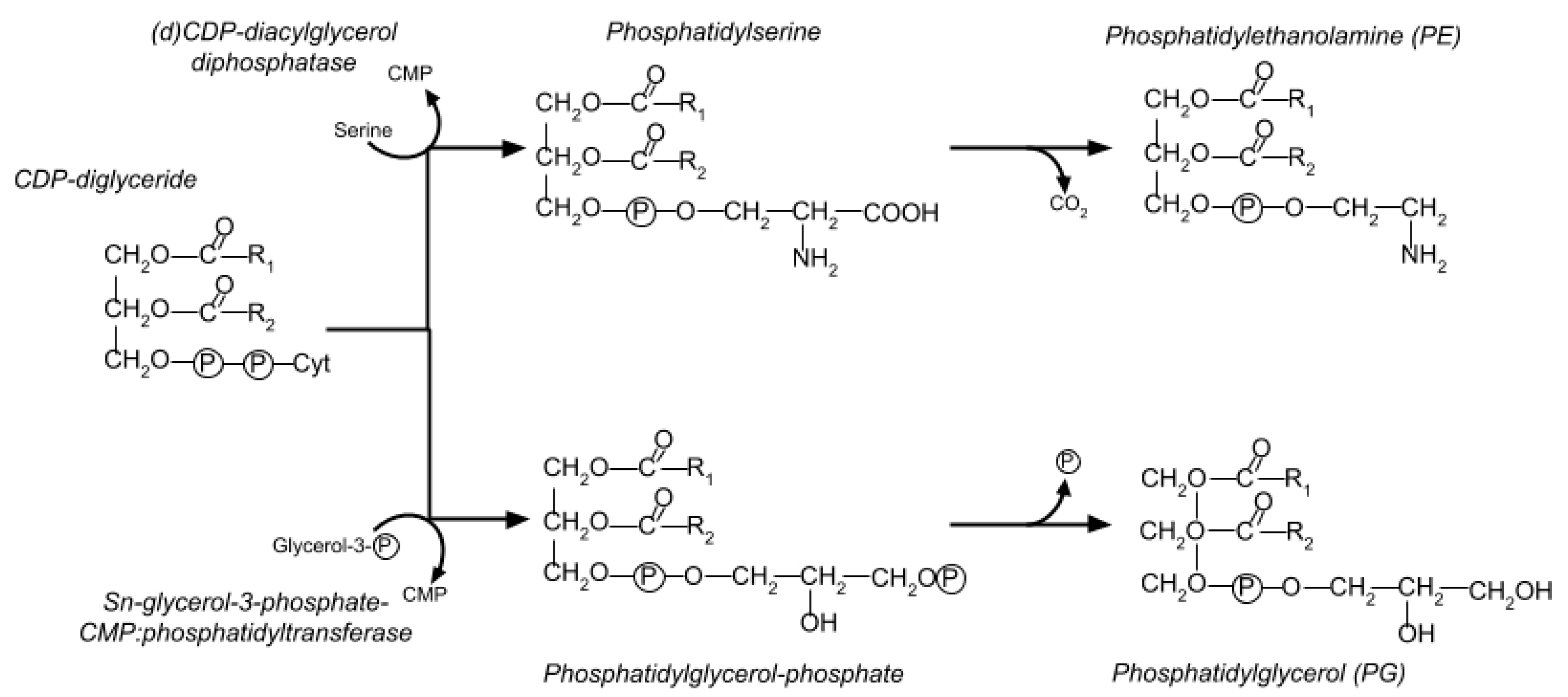 Viruses 10 00387 g008