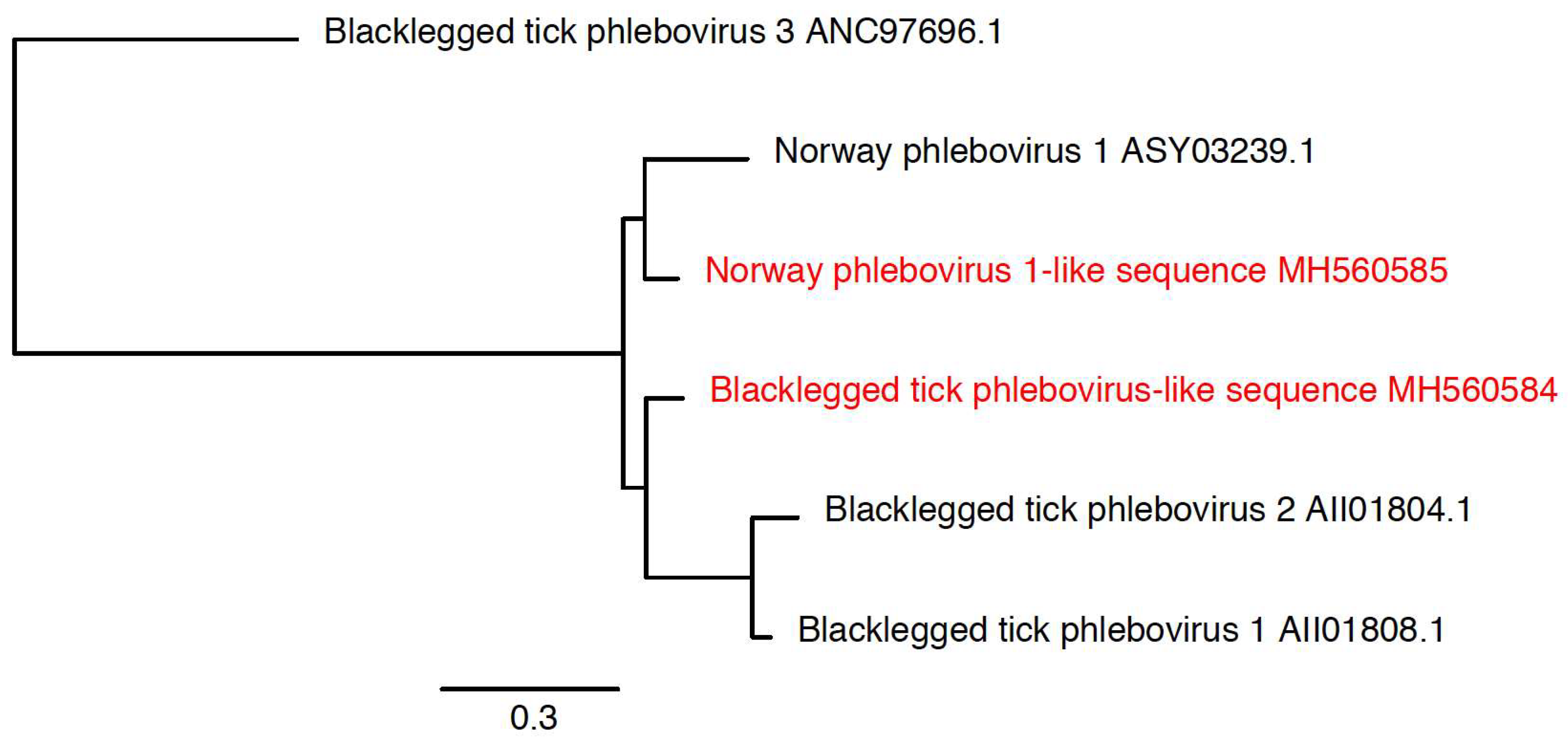 Viruses 10 00388 g007