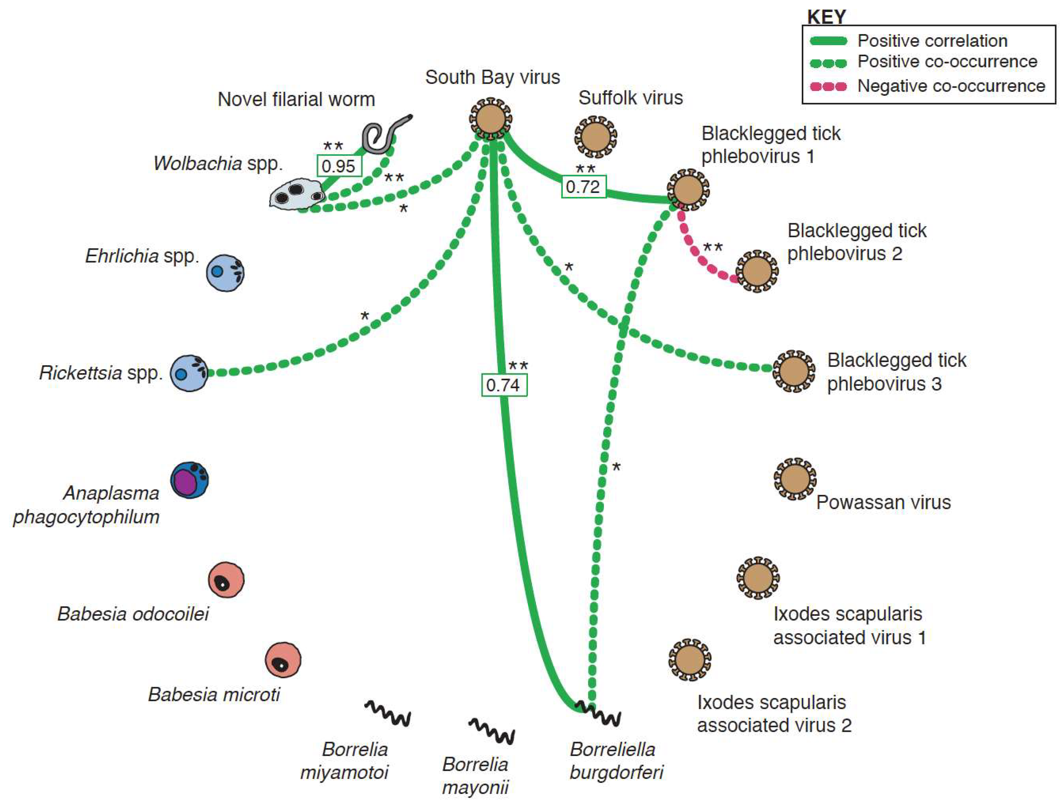 Viruses 10 00388 g009