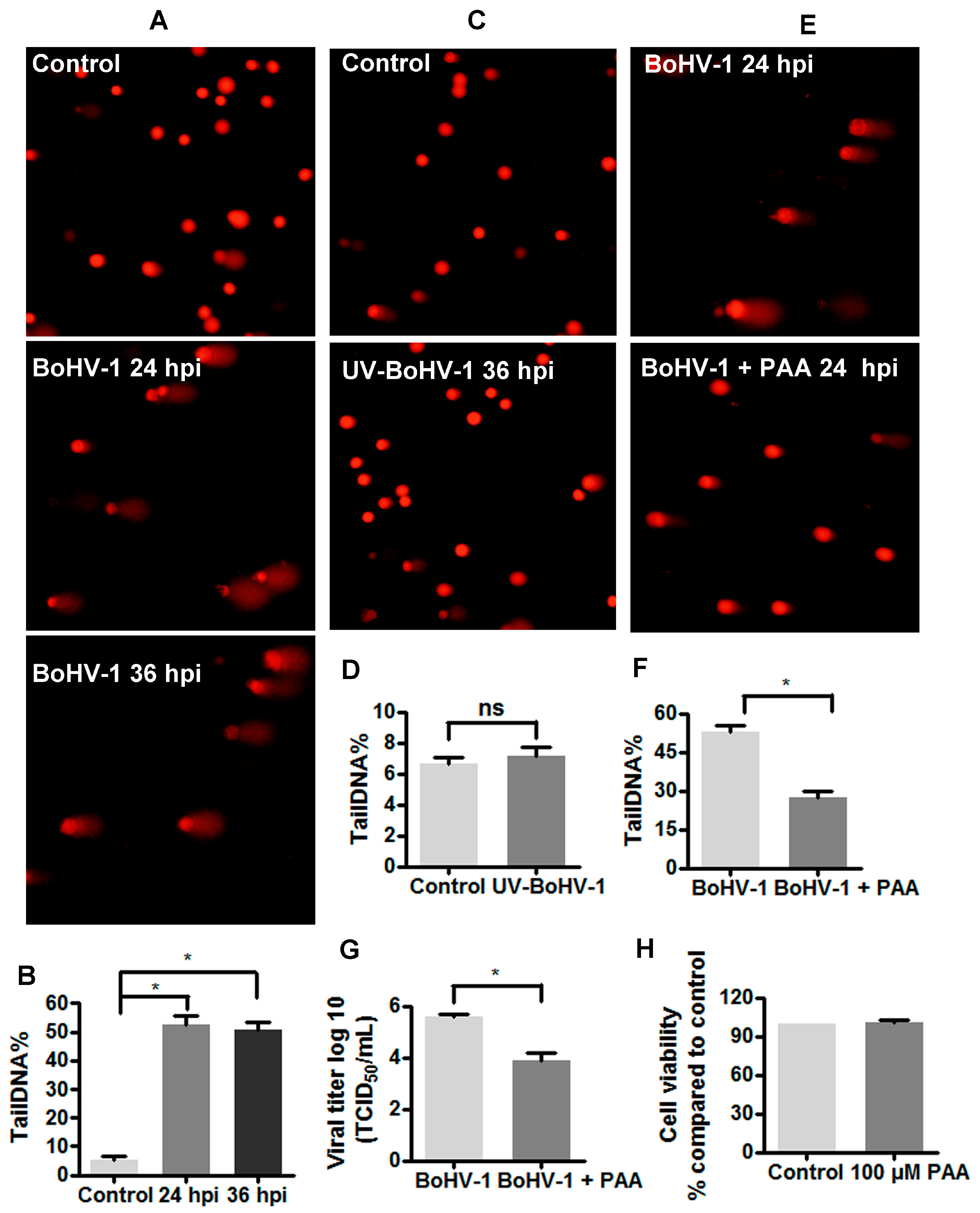 Viruses 10 00393 g001