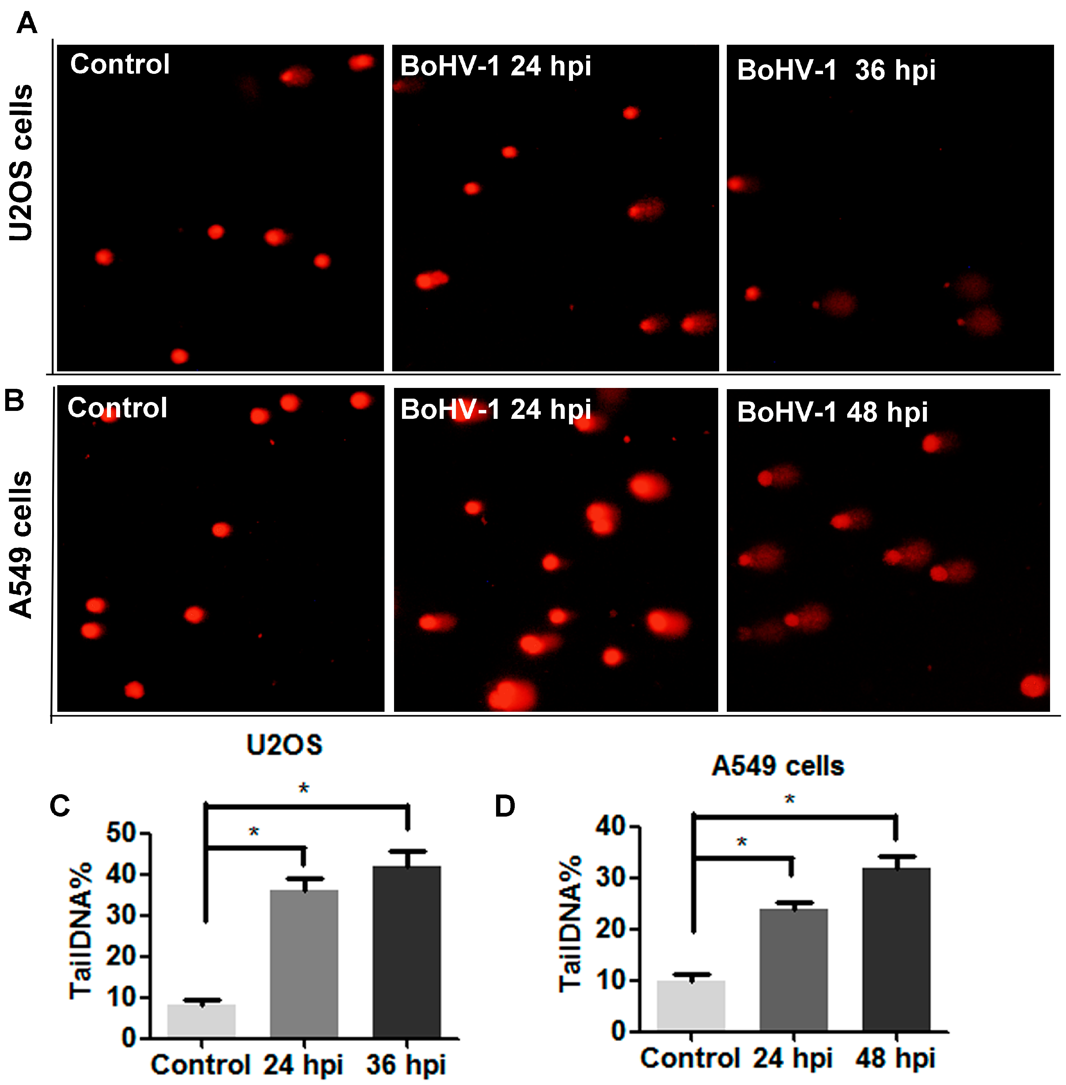 Viruses 10 00393 g005