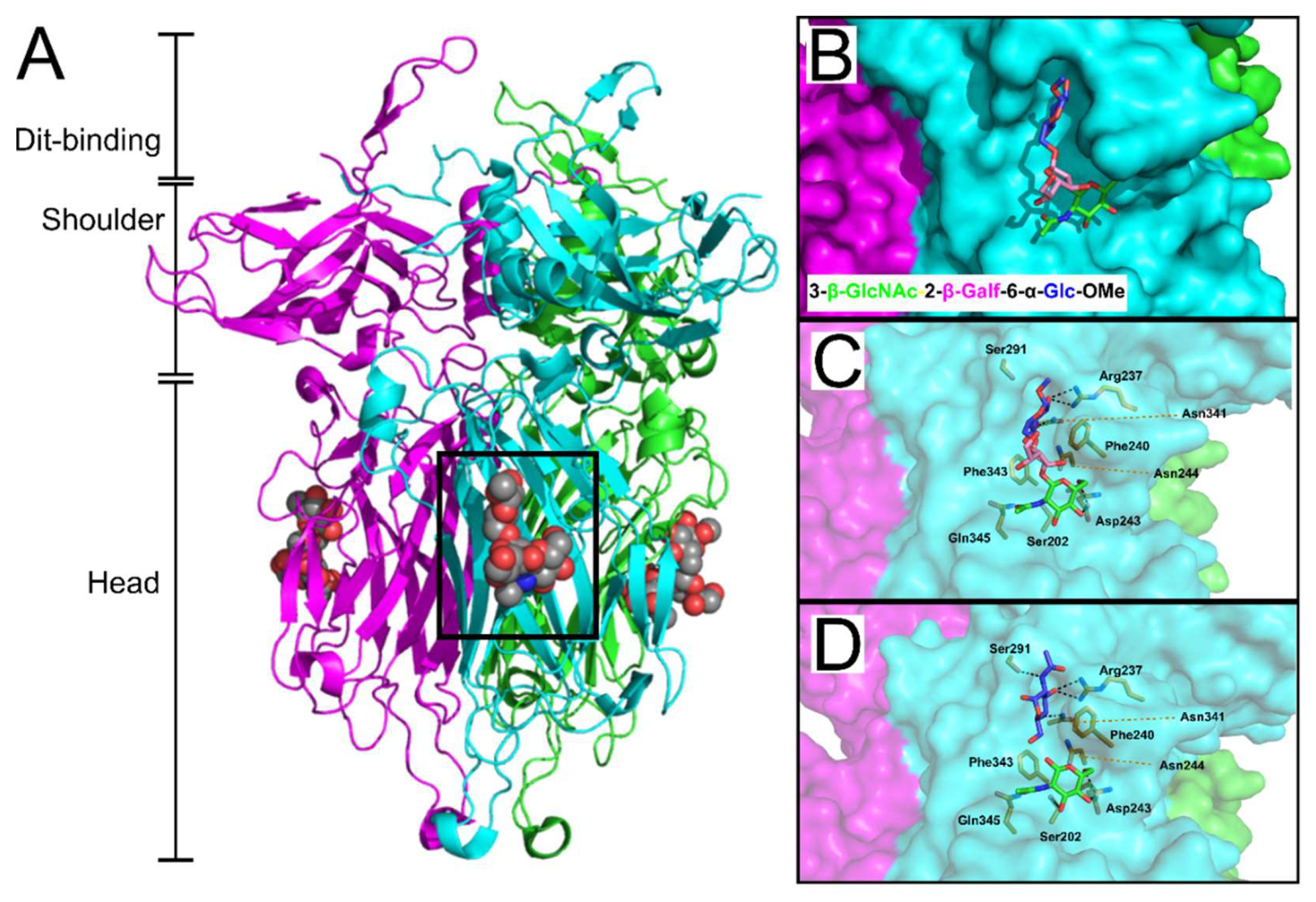 Viruses 10 00397 g008