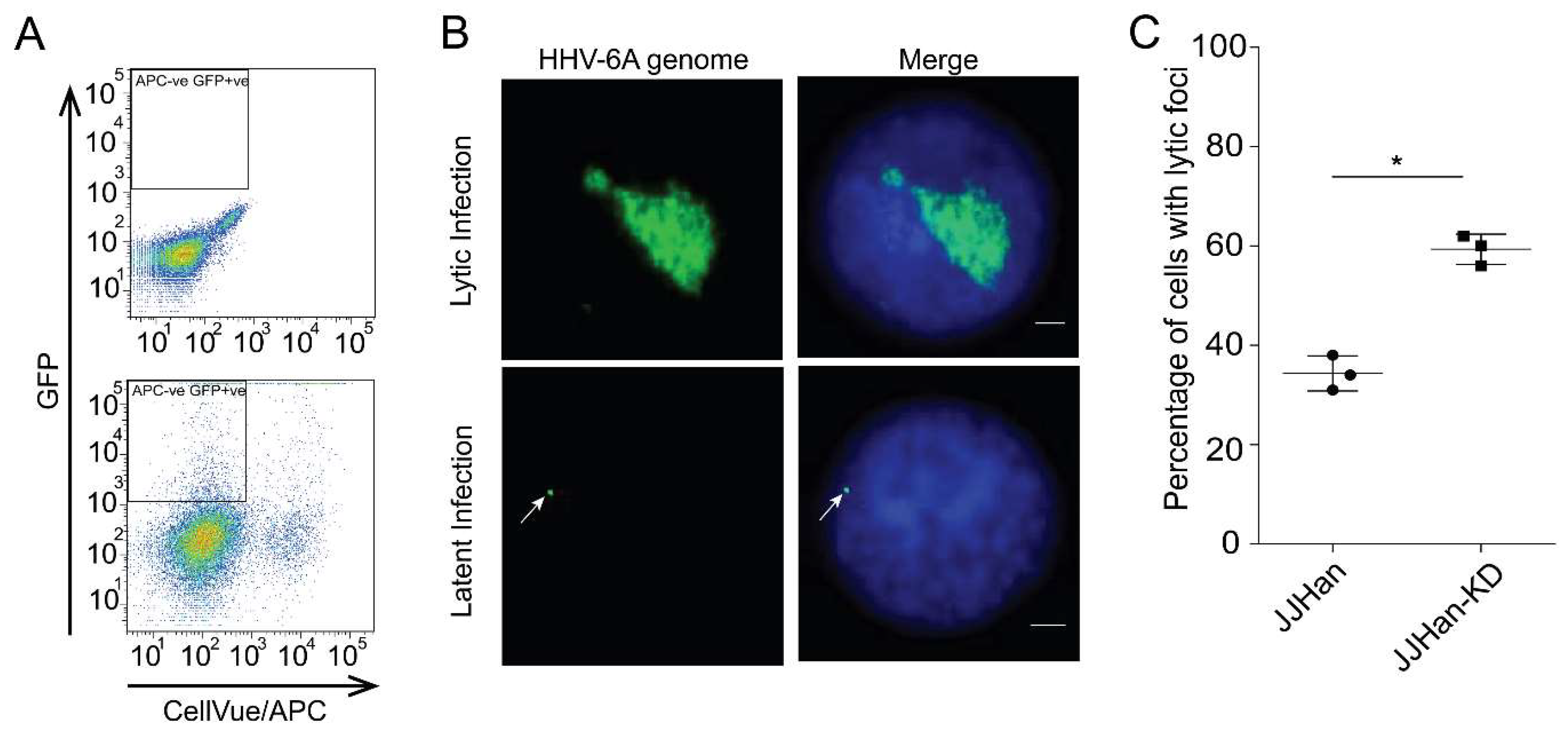 Viruses 10 00401 g003 Viruses 10 00401 g003