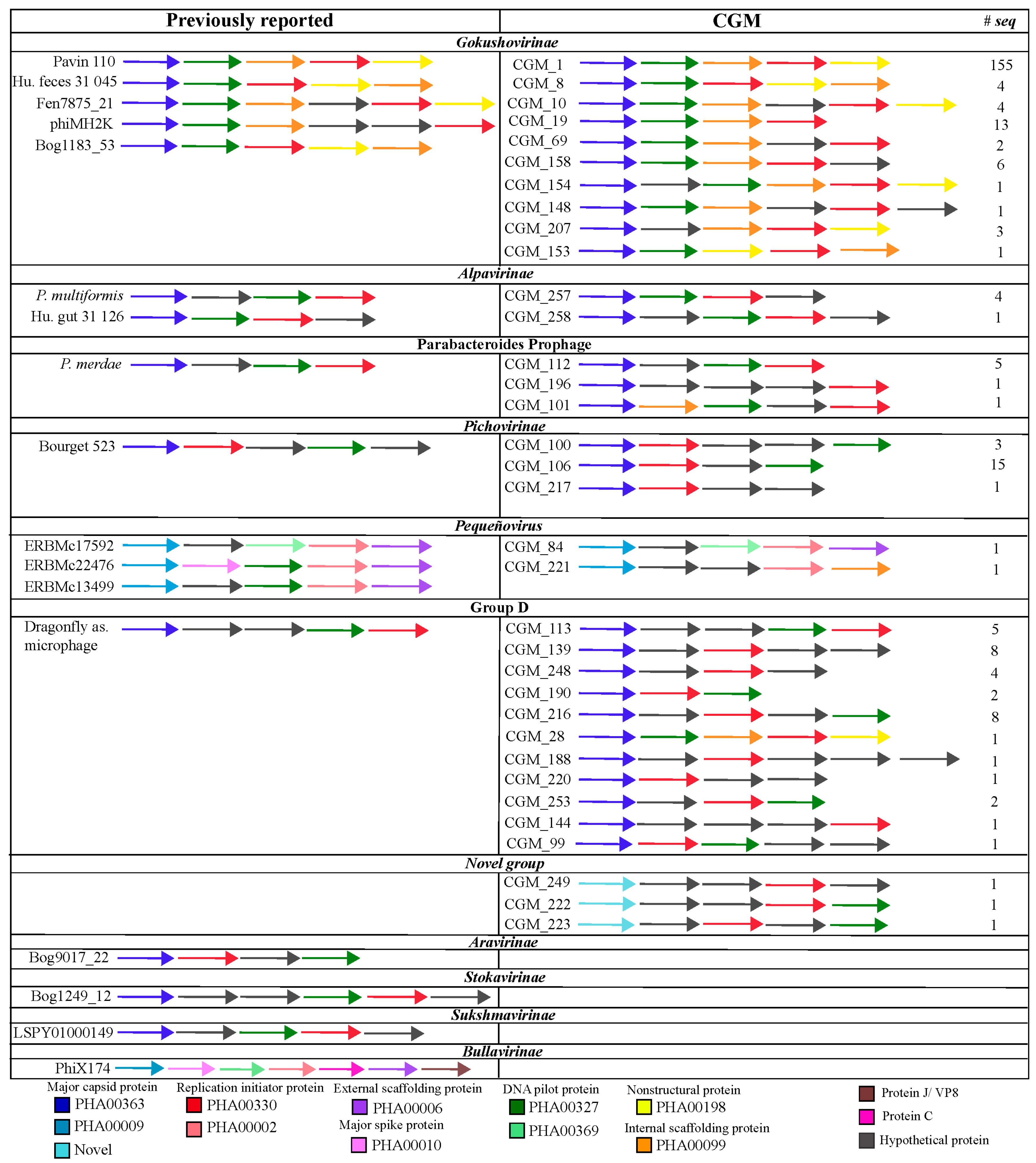 Viruses 10 00404 g003