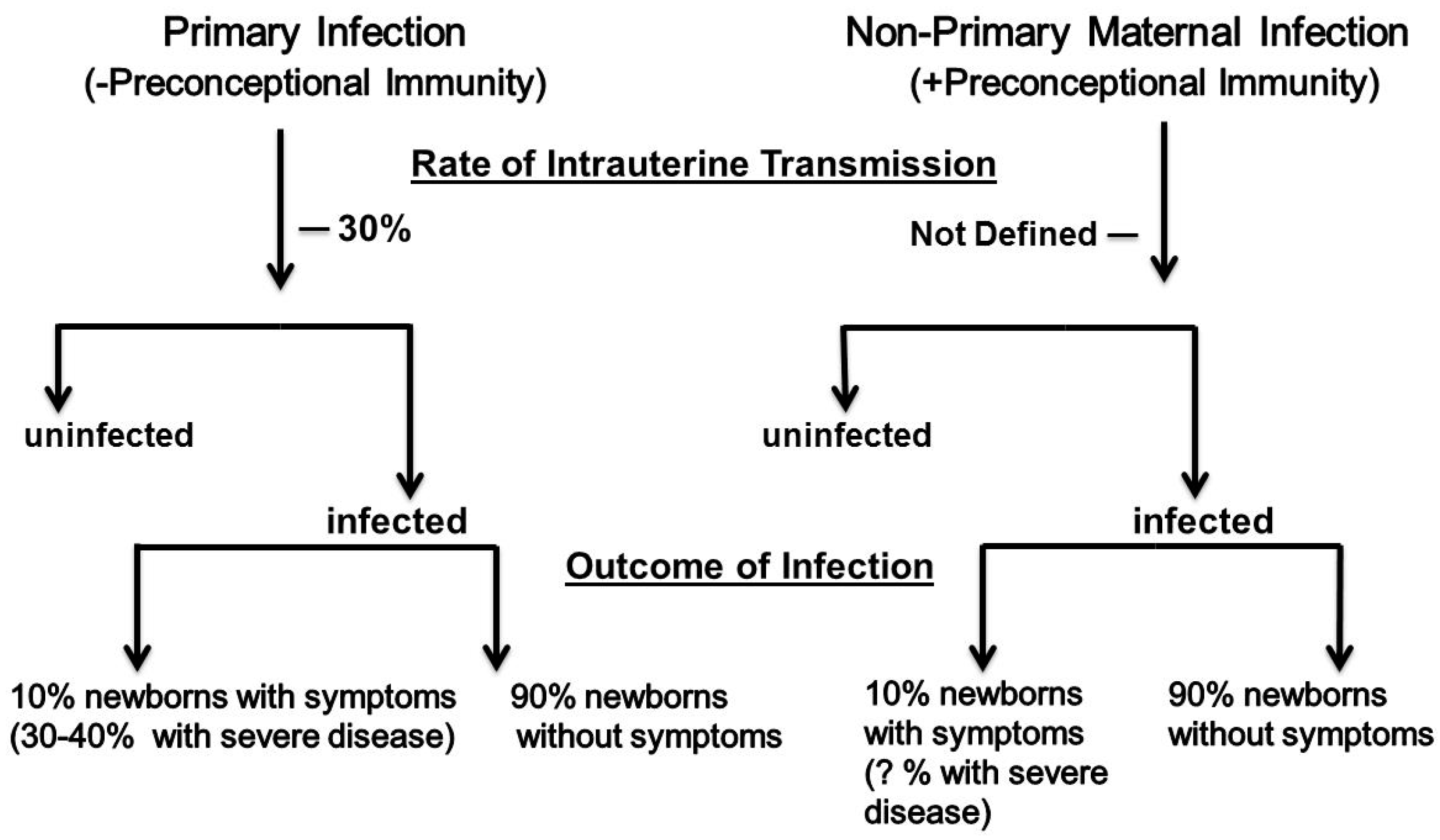Viruses 10 00405 g001