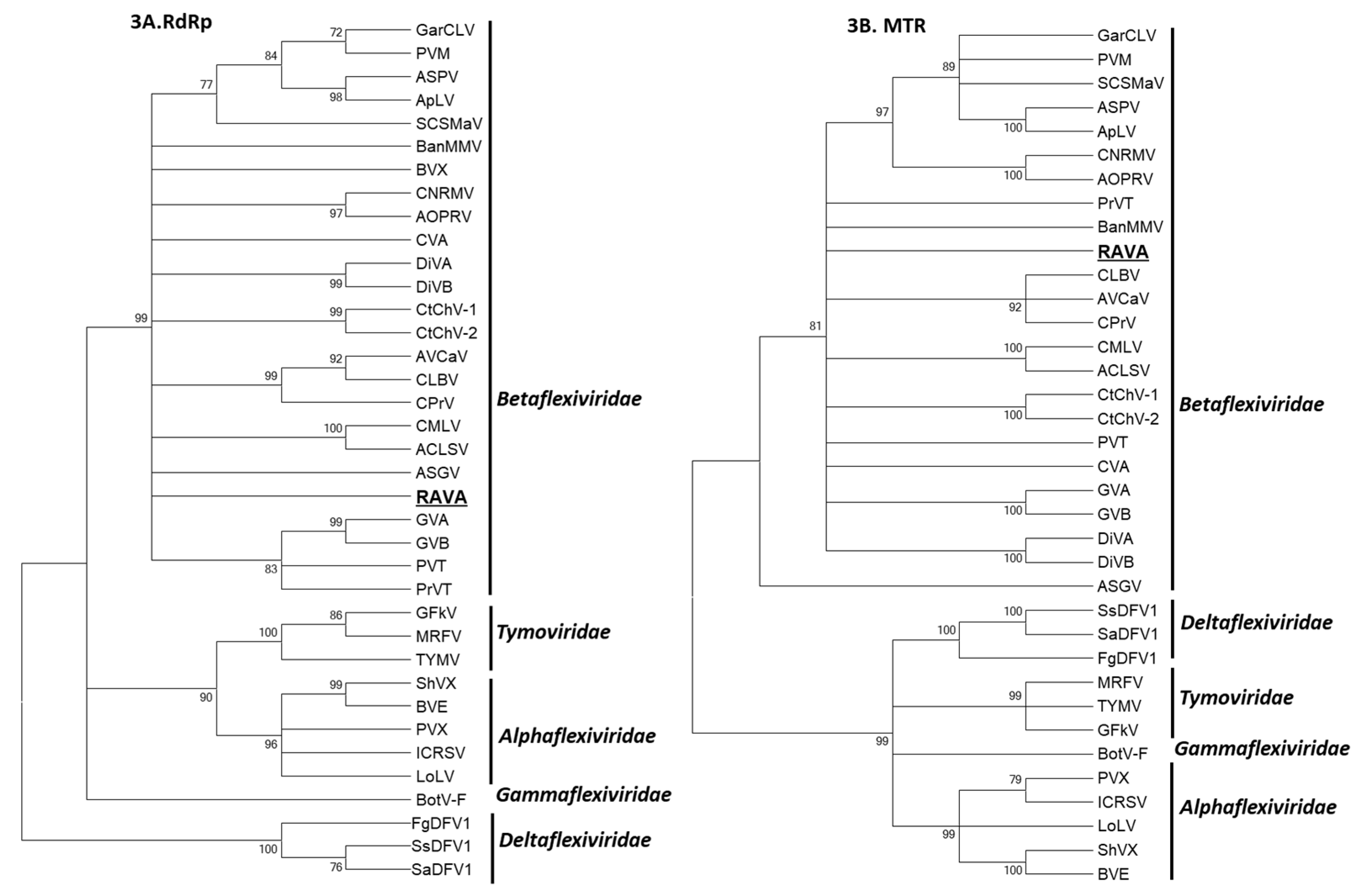 Viruses 10 00406 g003
