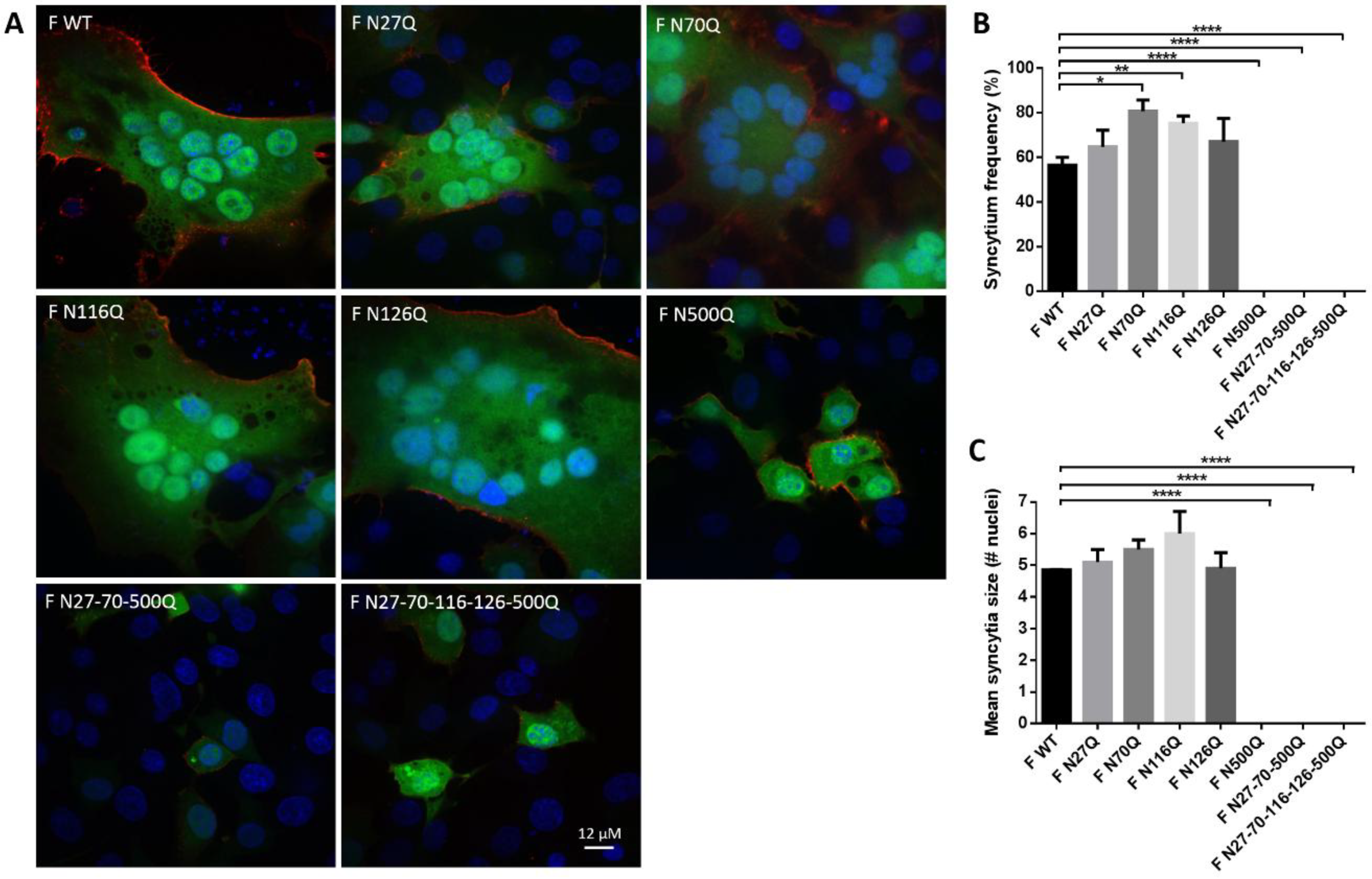 Viruses 10 00426 g004 Viruses 10 00426 g004