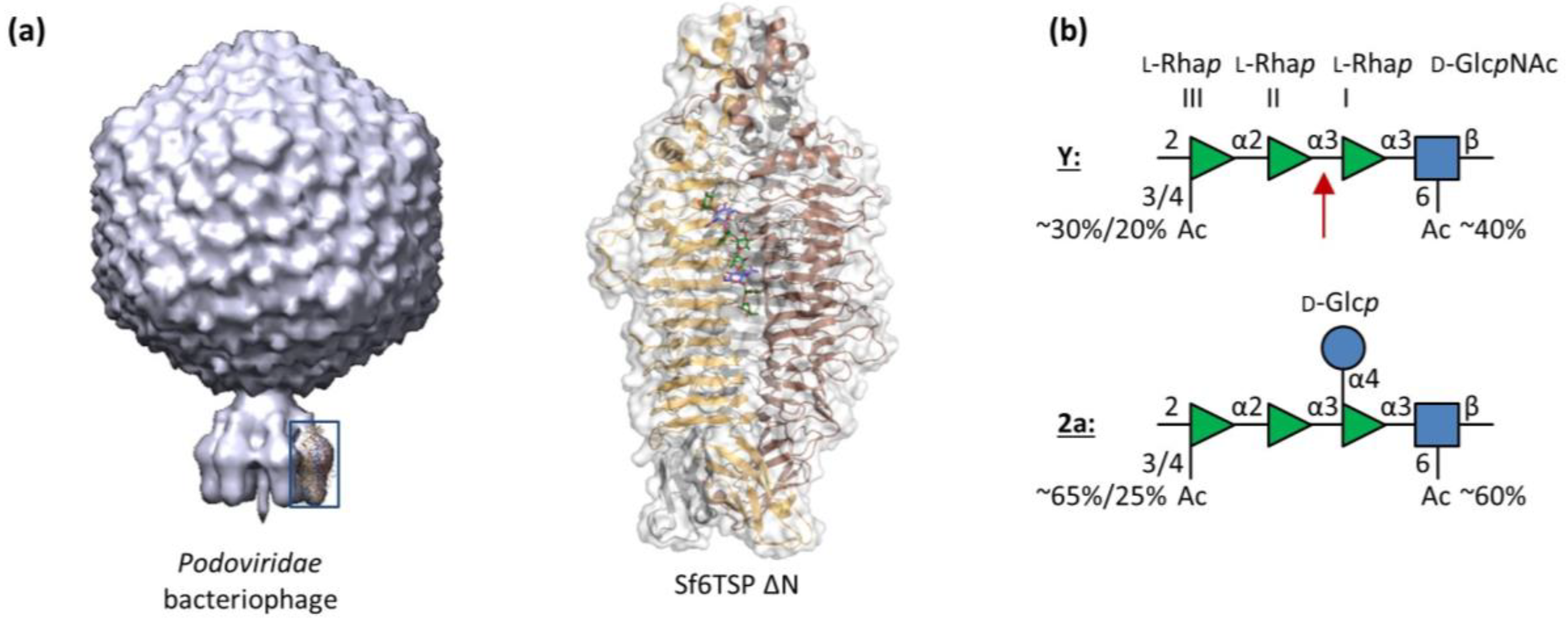 Viruses 10 00431 sch001