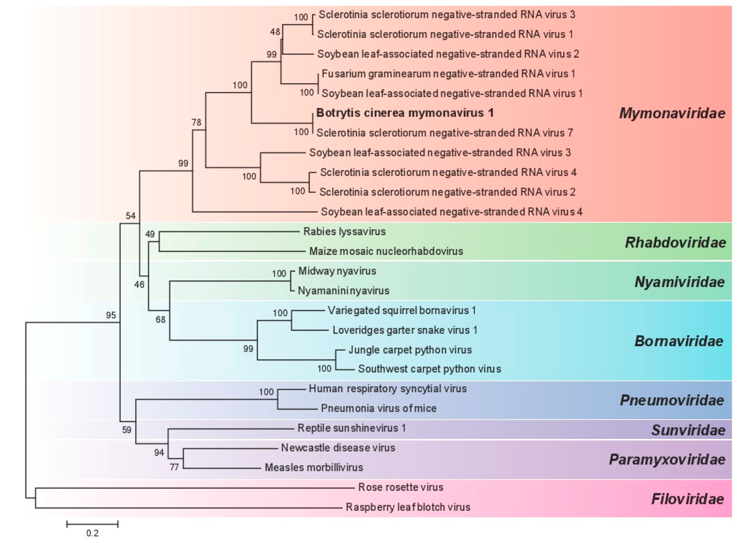 Viruses 10 00432 g003