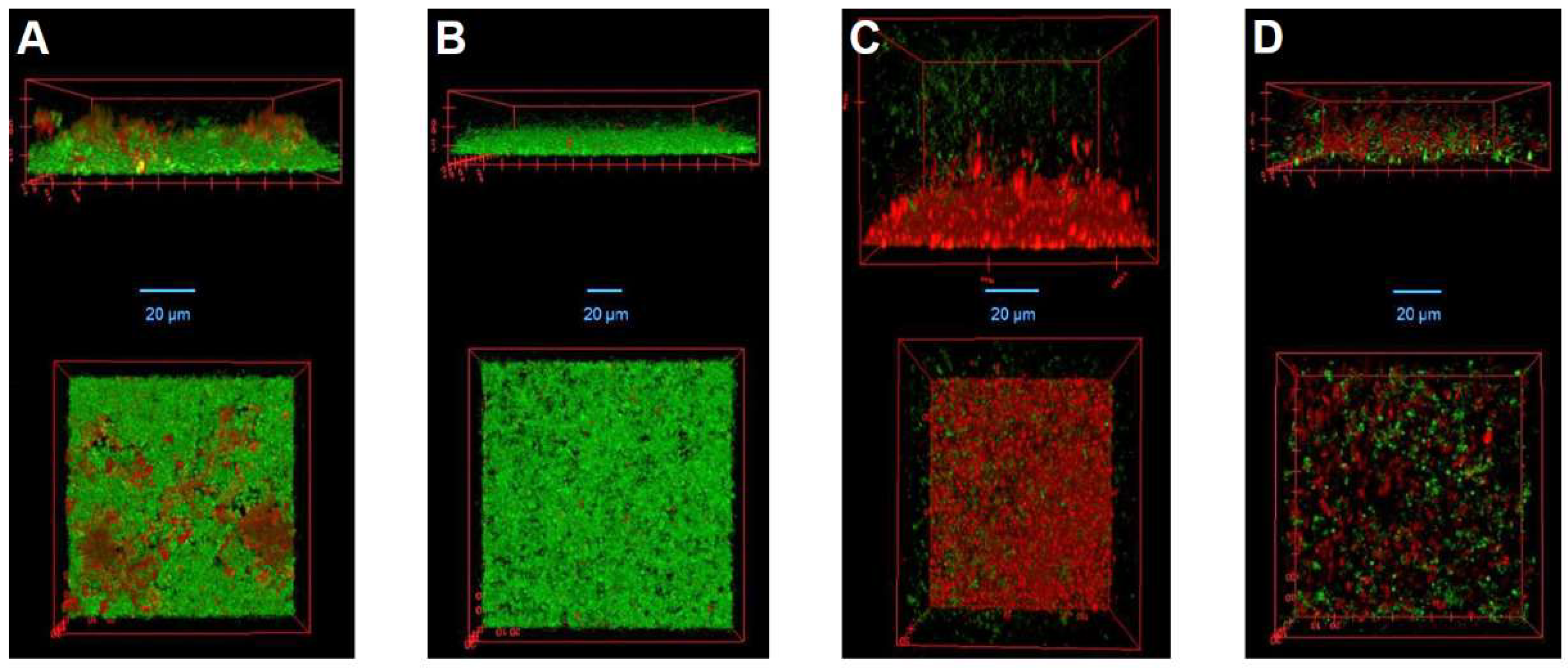 Viruses 10 00438 g005