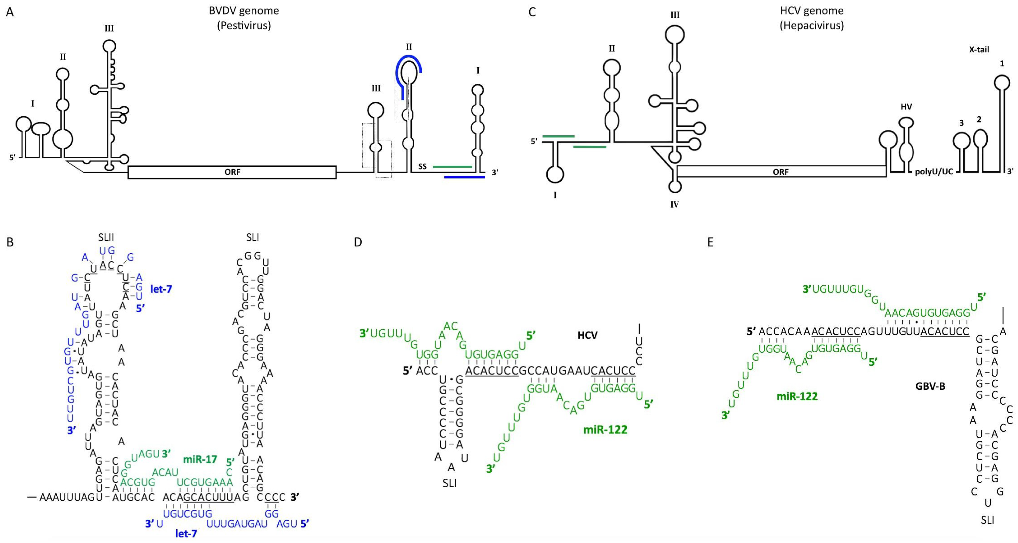 Viruses 10 00440 g003