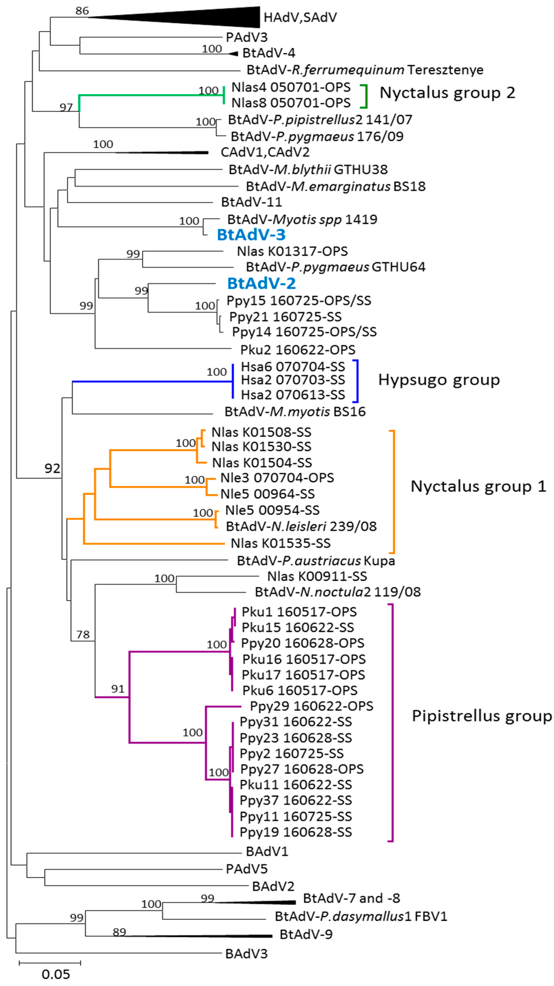 Viruses 10 00443 g003 Viruses 10 00443 g003