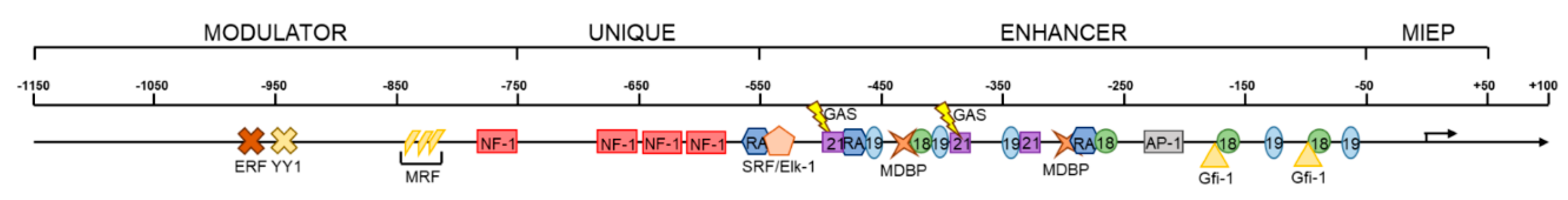 Viruses 10 00444 g004 Viruses 10 00444 g004