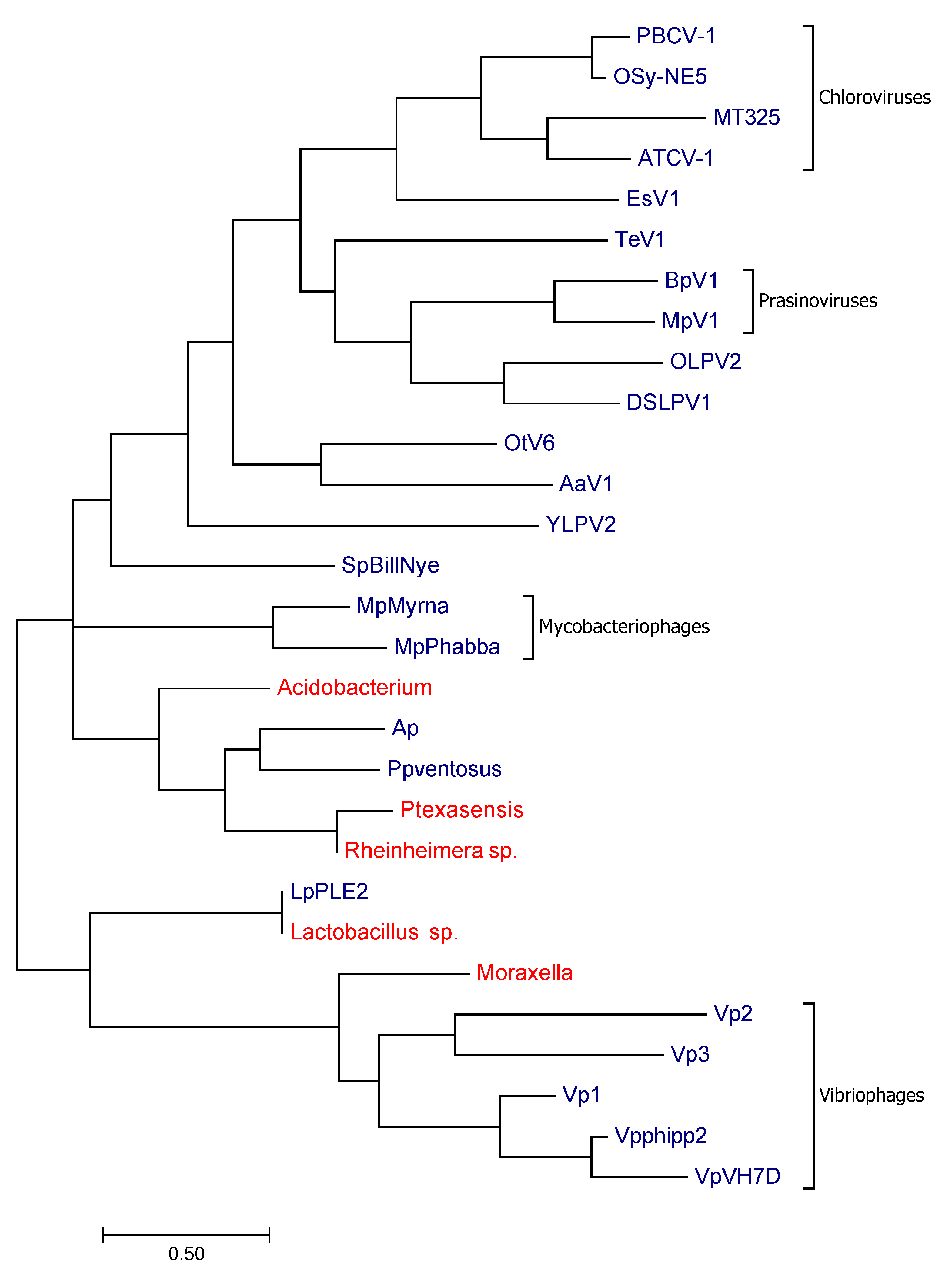 Viruses 10 00456 g002