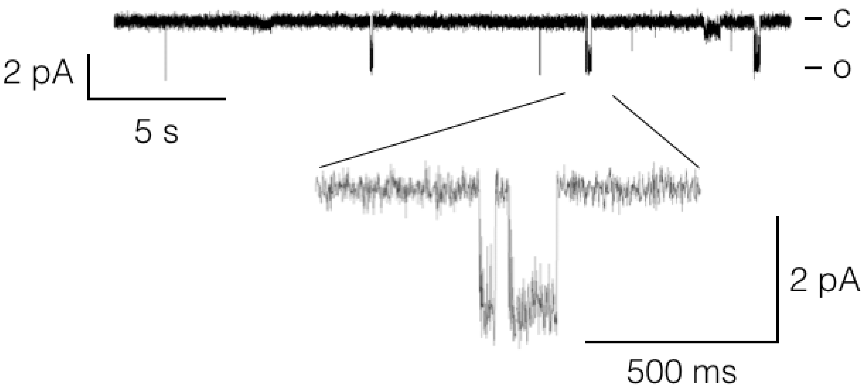 Viruses 10 00456 g005