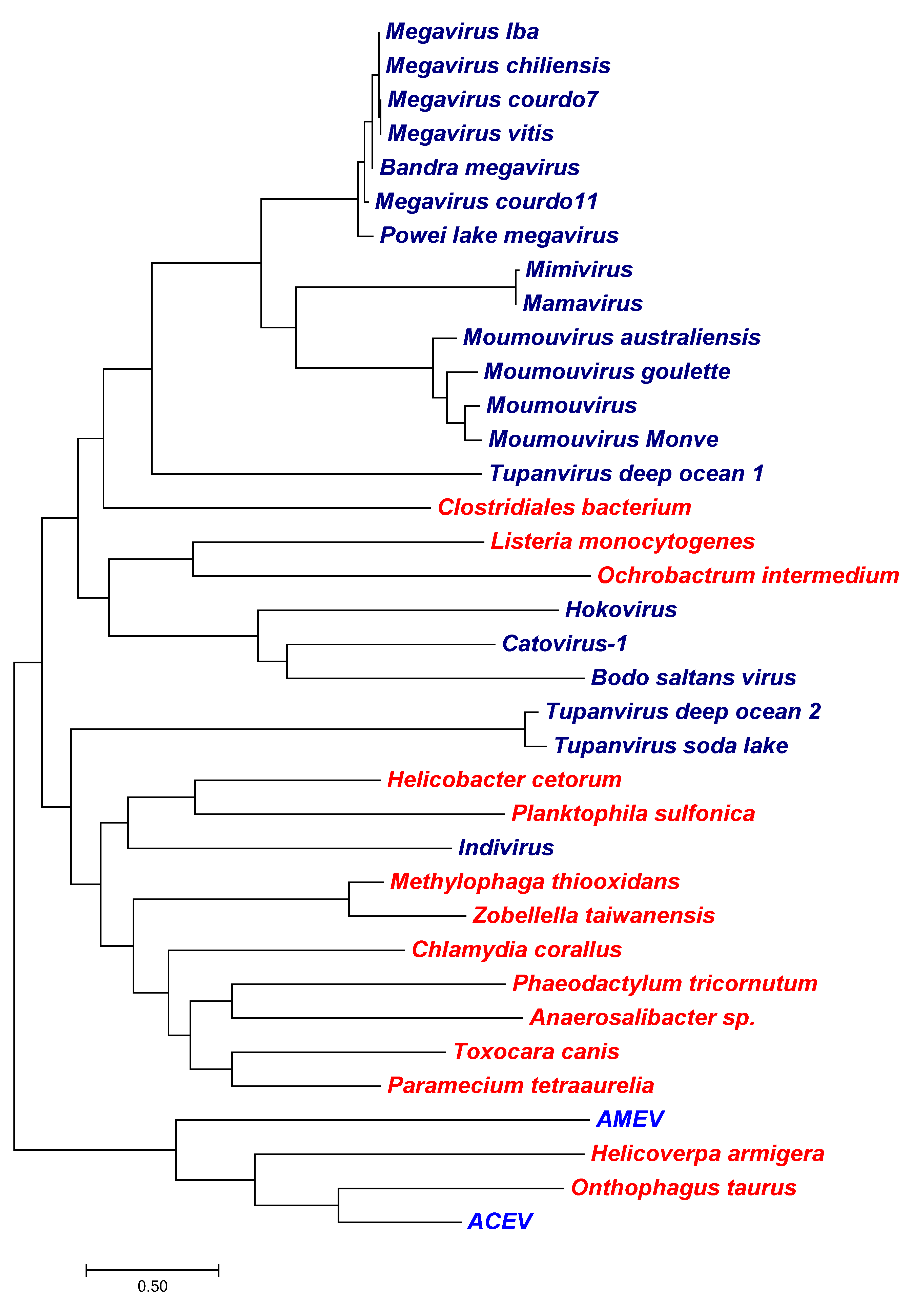 Viruses 10 00456 g007