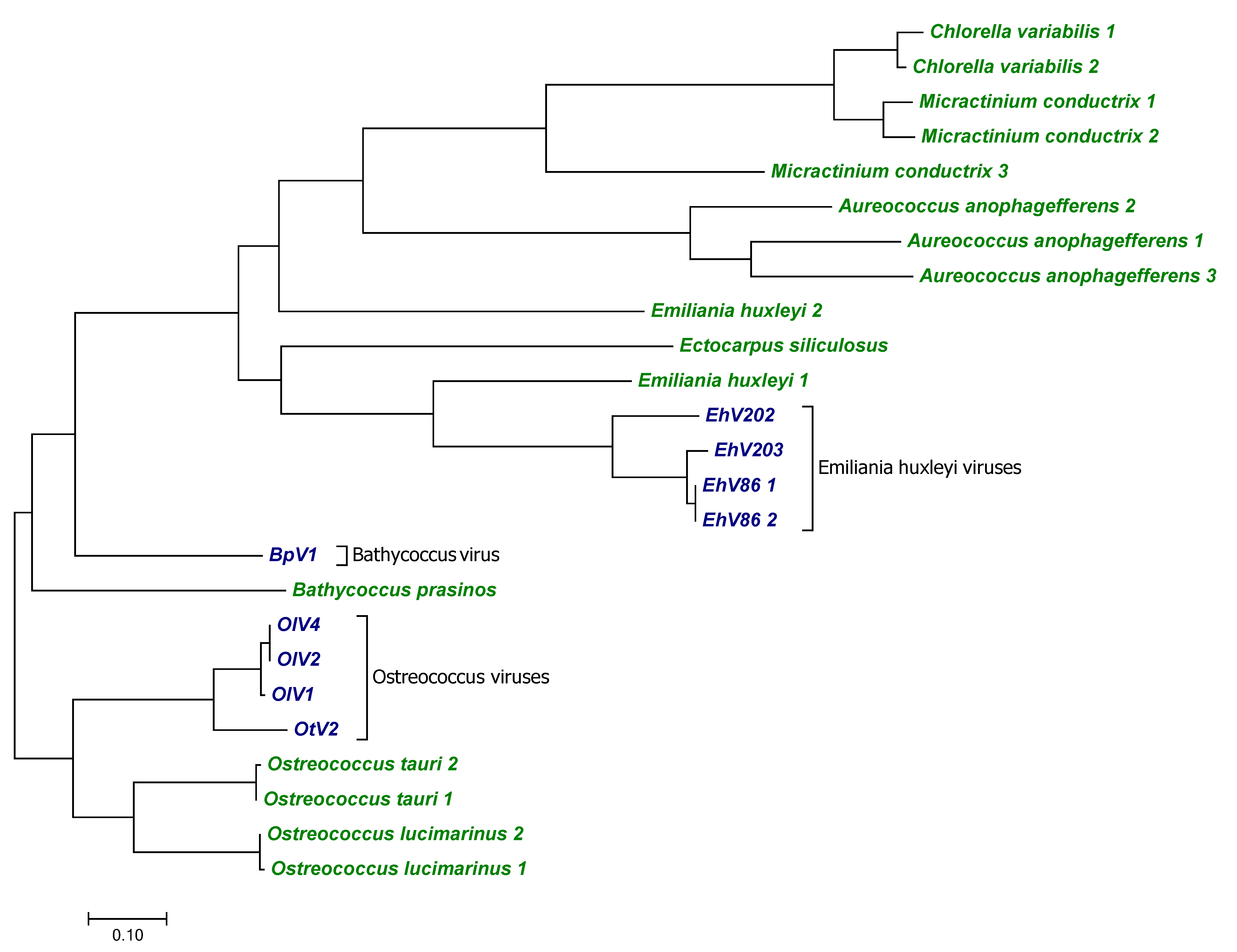 Viruses 10 00456 g009
