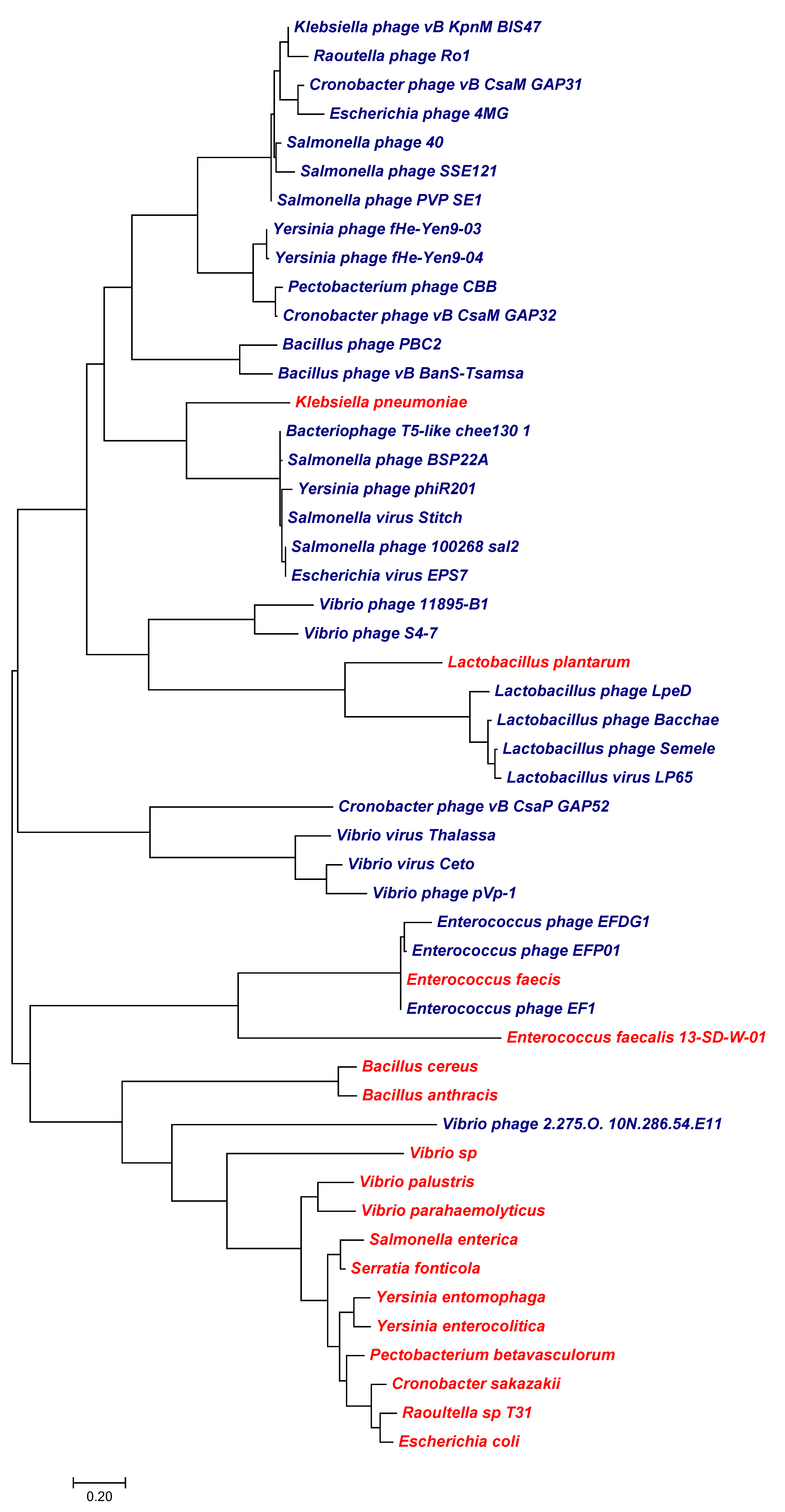 Viruses 10 00456 g010