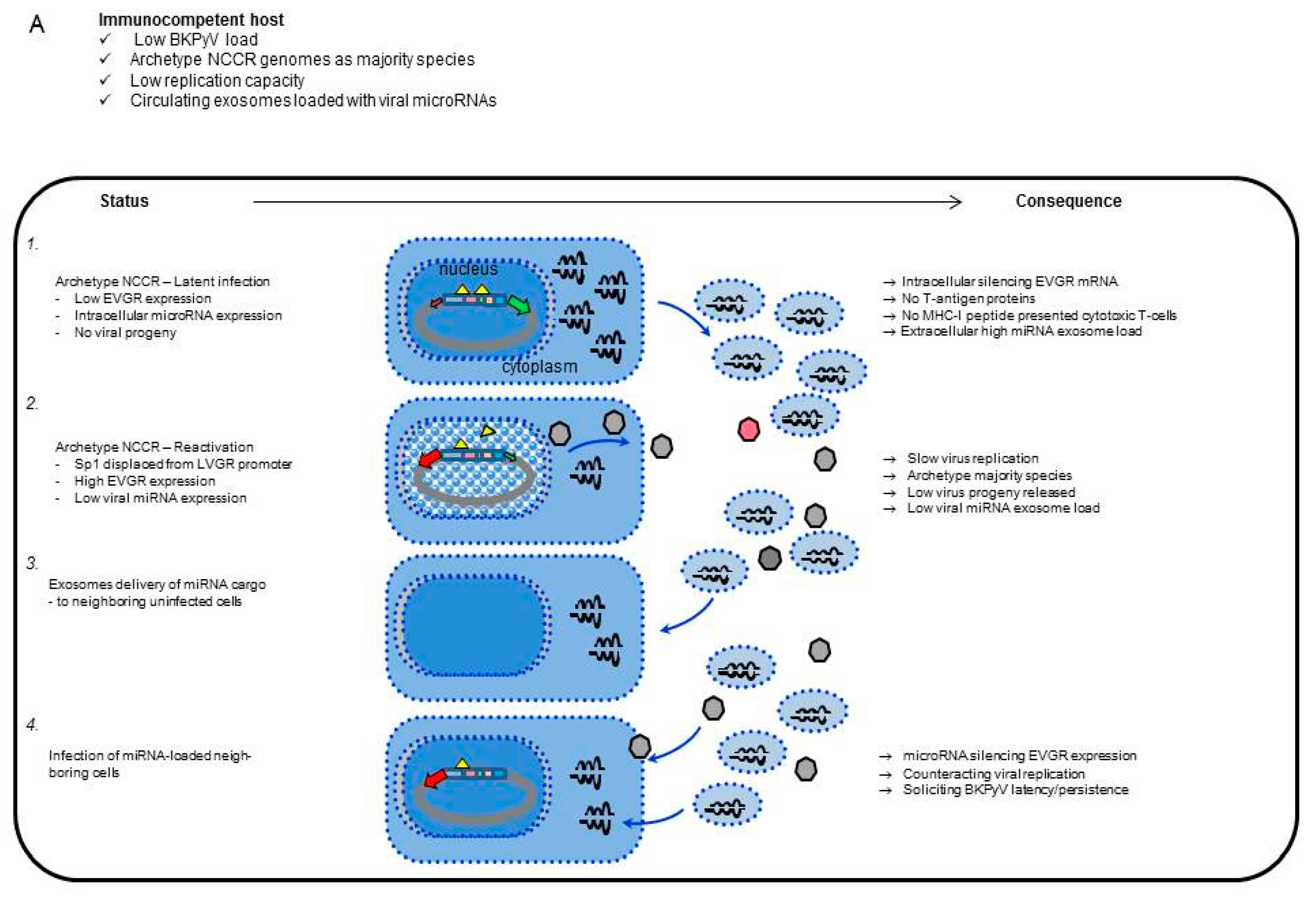 Viruses 10 00466 g008a