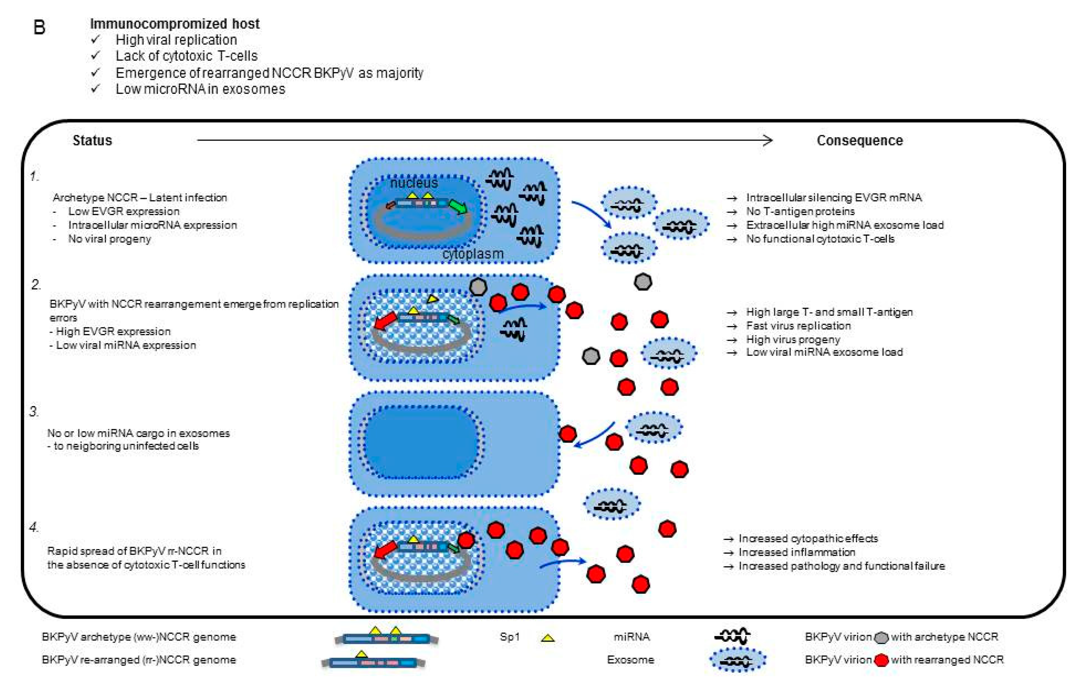 Viruses 10 00466 g008b