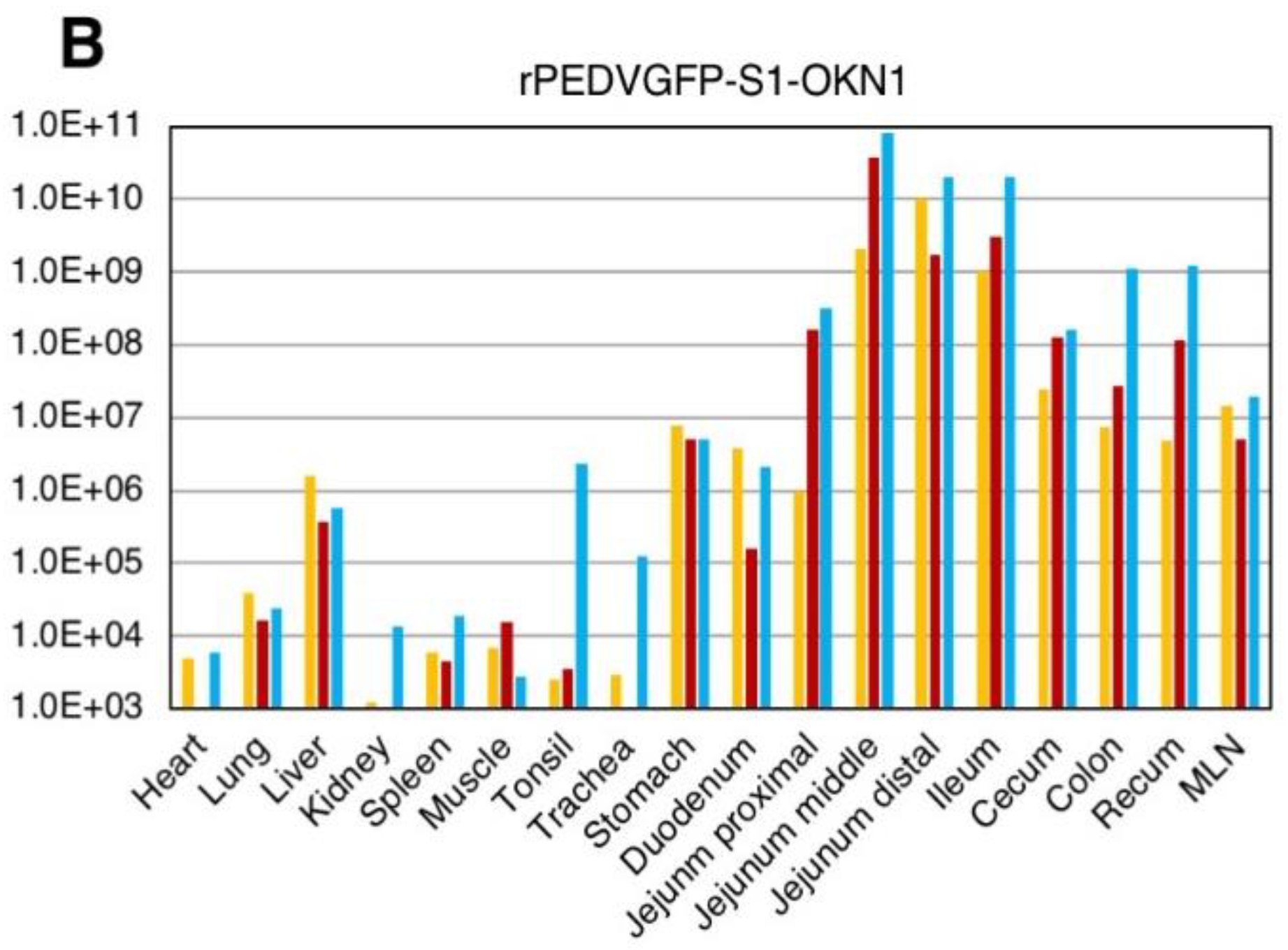 Viruses 10 00467 g005b