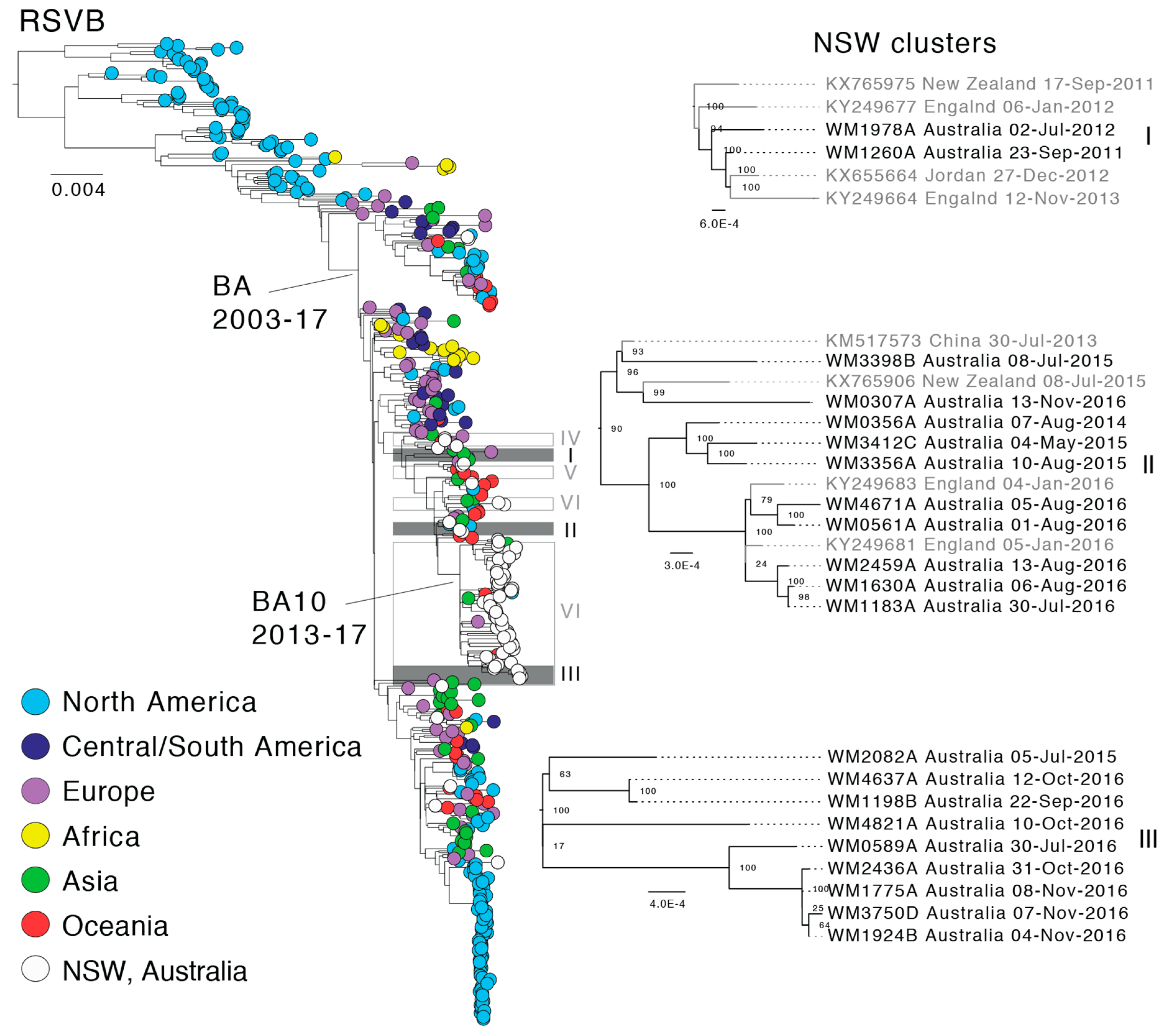 Viruses 10 00476 g004