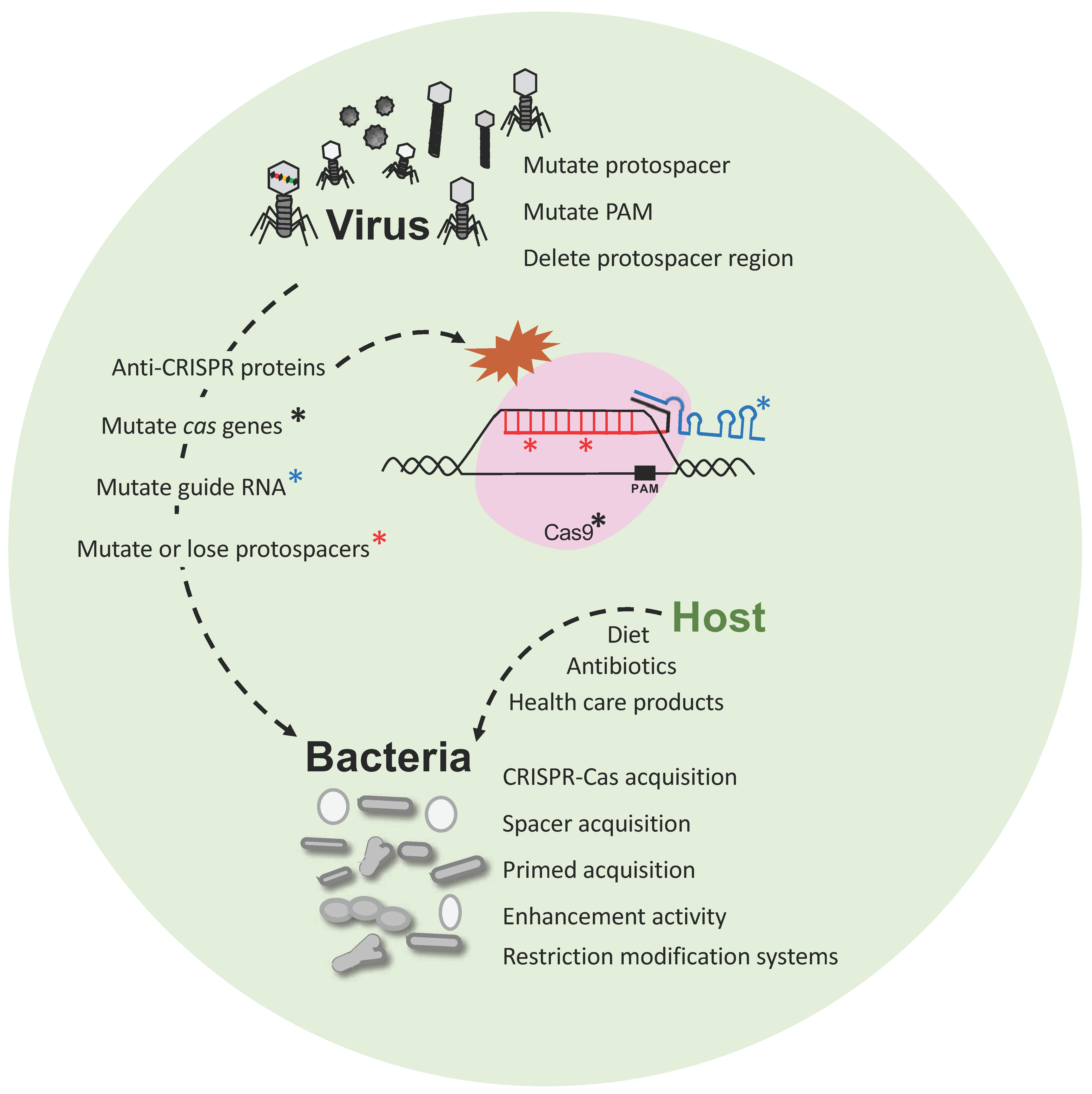 Viruses 10 00479 g003