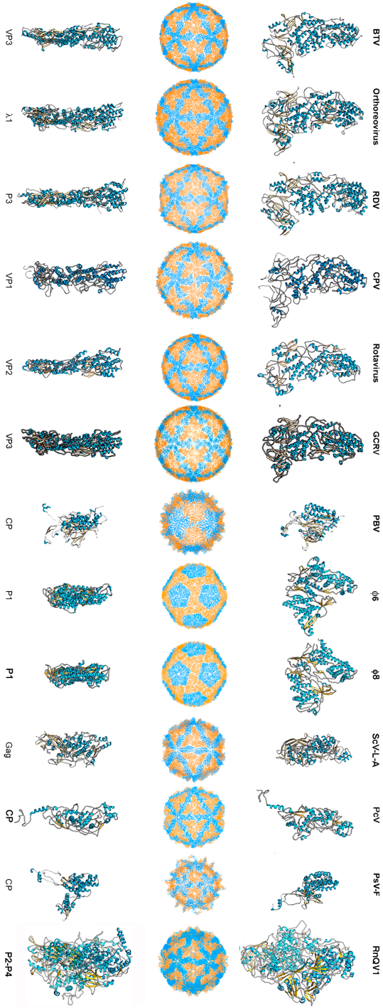 Viruses 10 00481 g001 Viruses 10 00481 g001