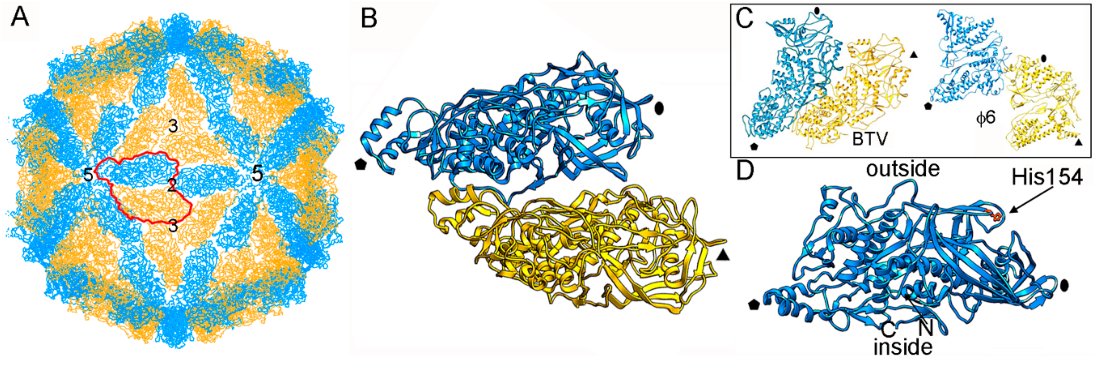 Viruses 10 00481 g002 Viruses 10 00481 g002