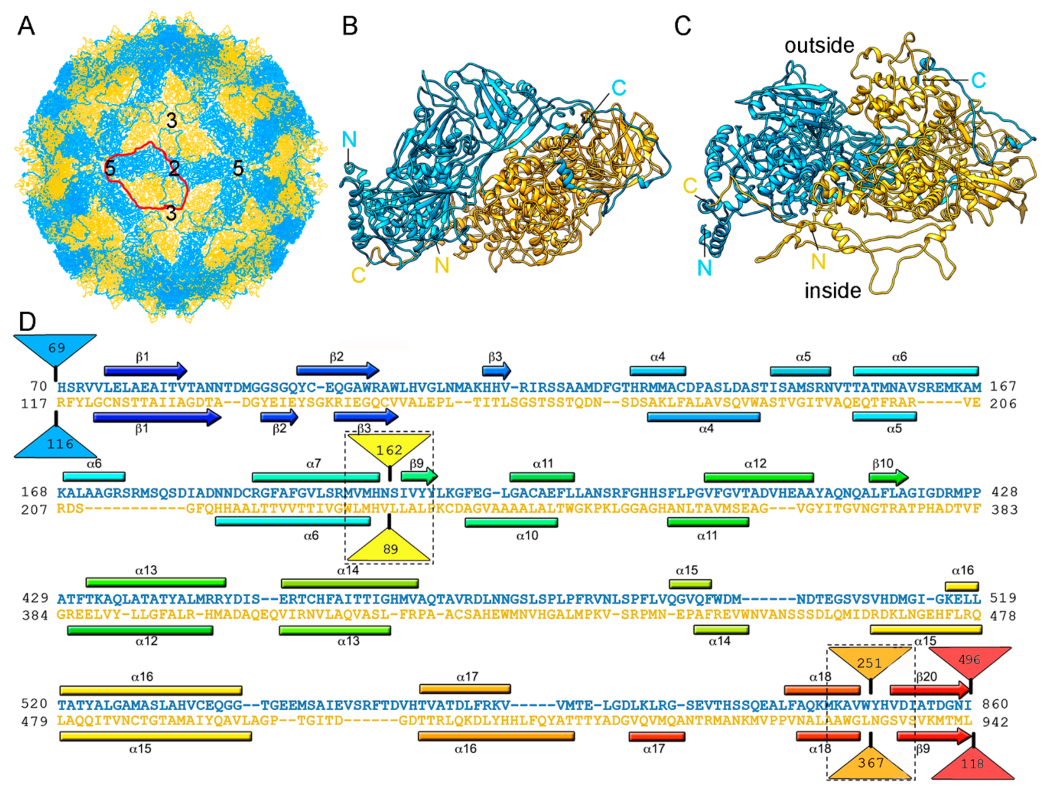 Viruses 10 00481 g005 Viruses 10 00481 g005