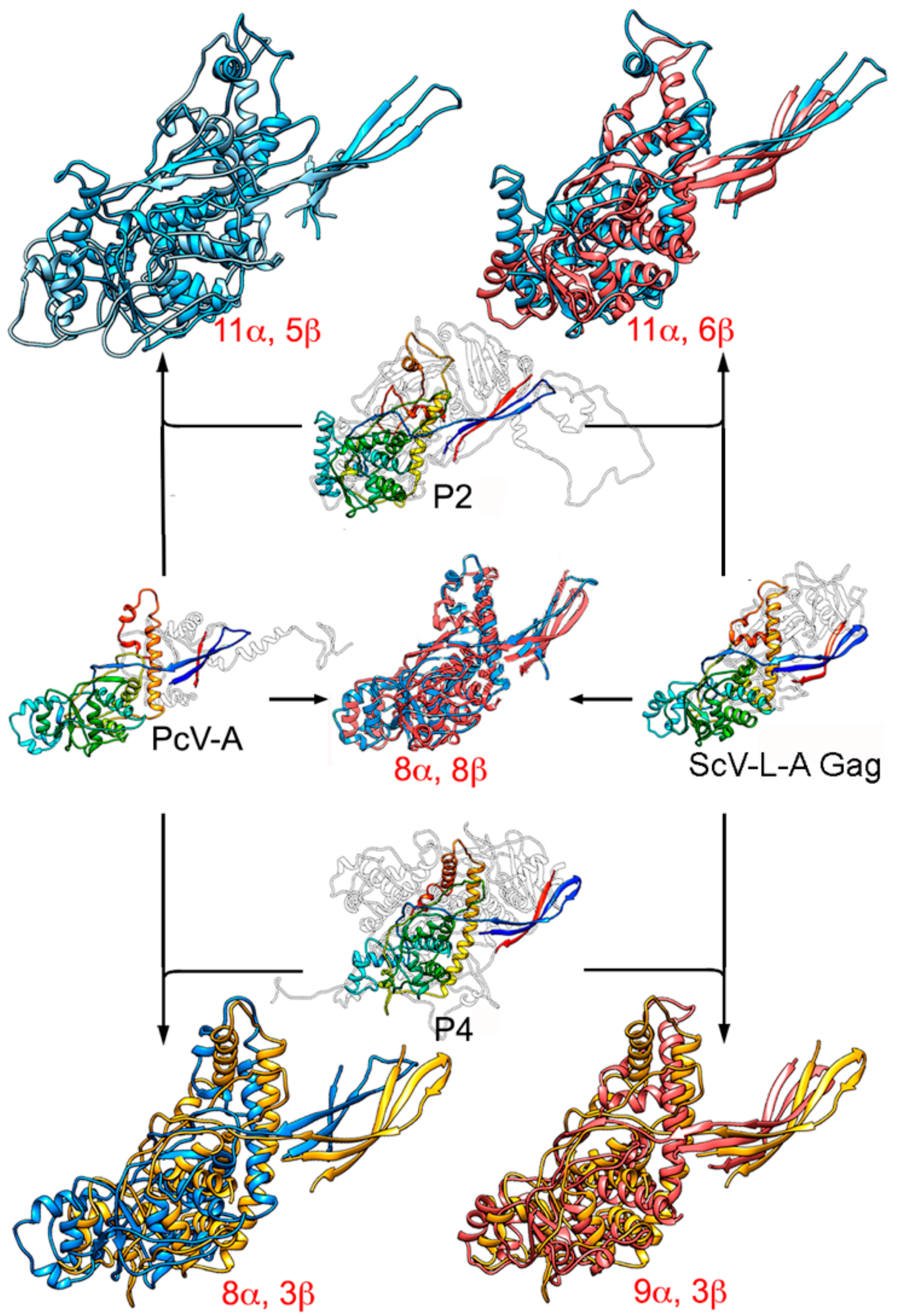 Viruses 10 00481 g006 Viruses 10 00481 g006