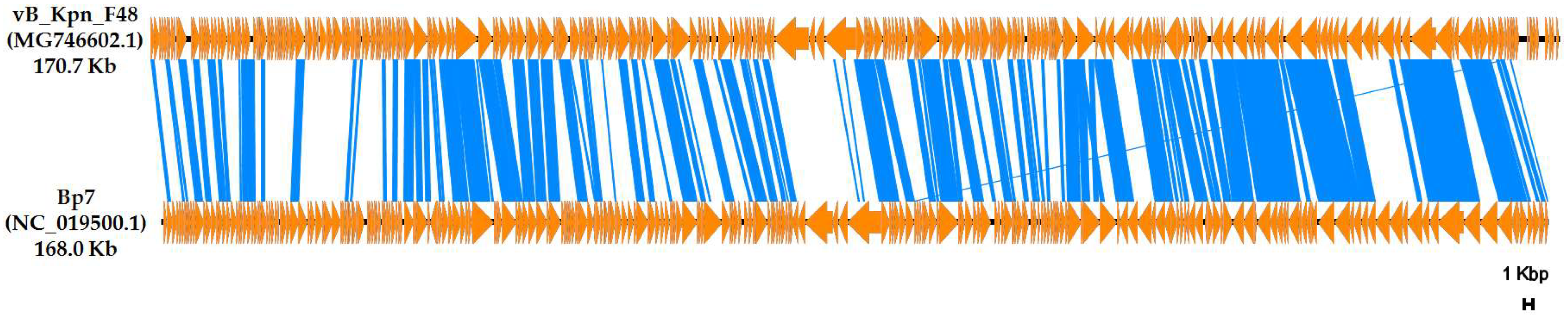 Viruses 10 00482 g006 Viruses 10 00482 g006