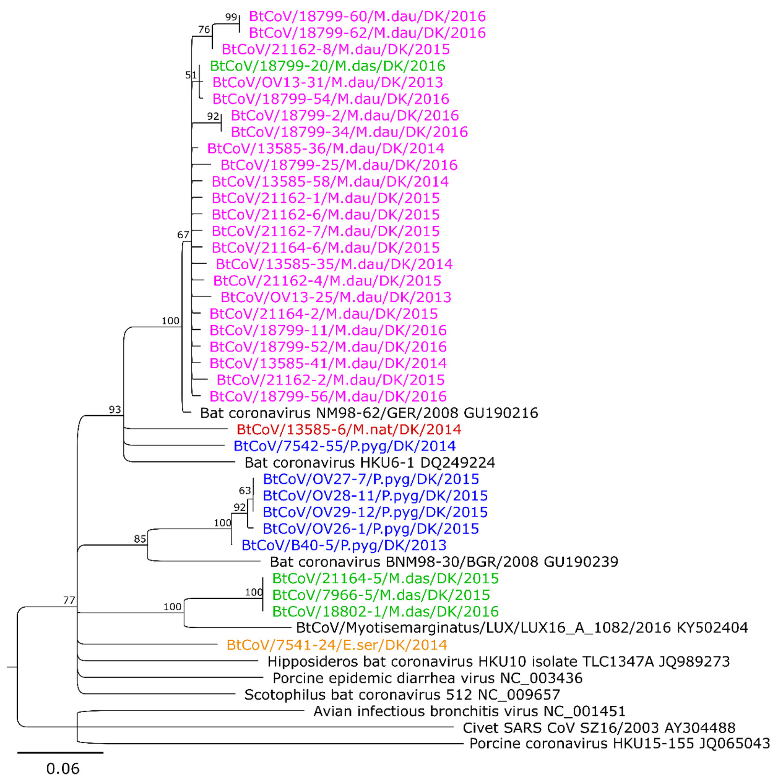 Viruses 10 00486 g002 Viruses 10 00486 g002