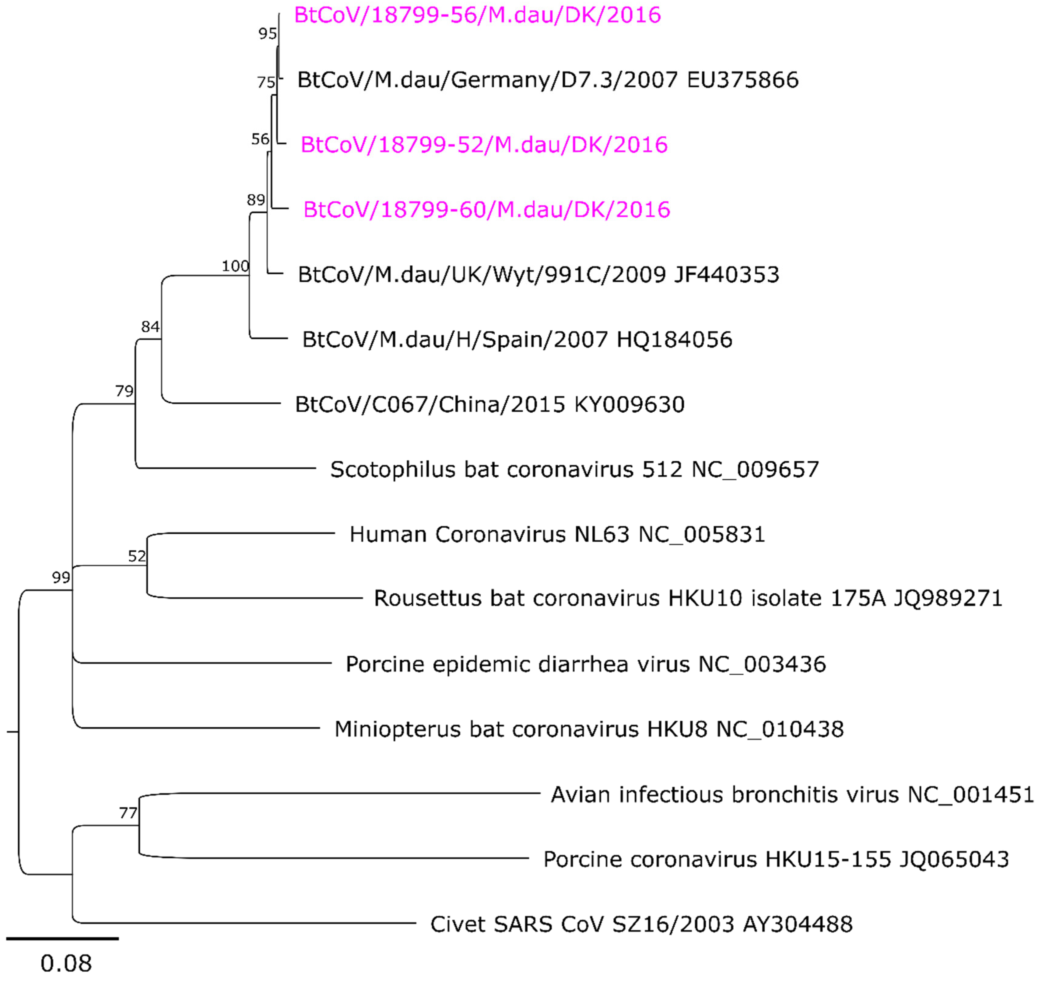 Viruses 10 00486 g003 Viruses 10 00486 g003