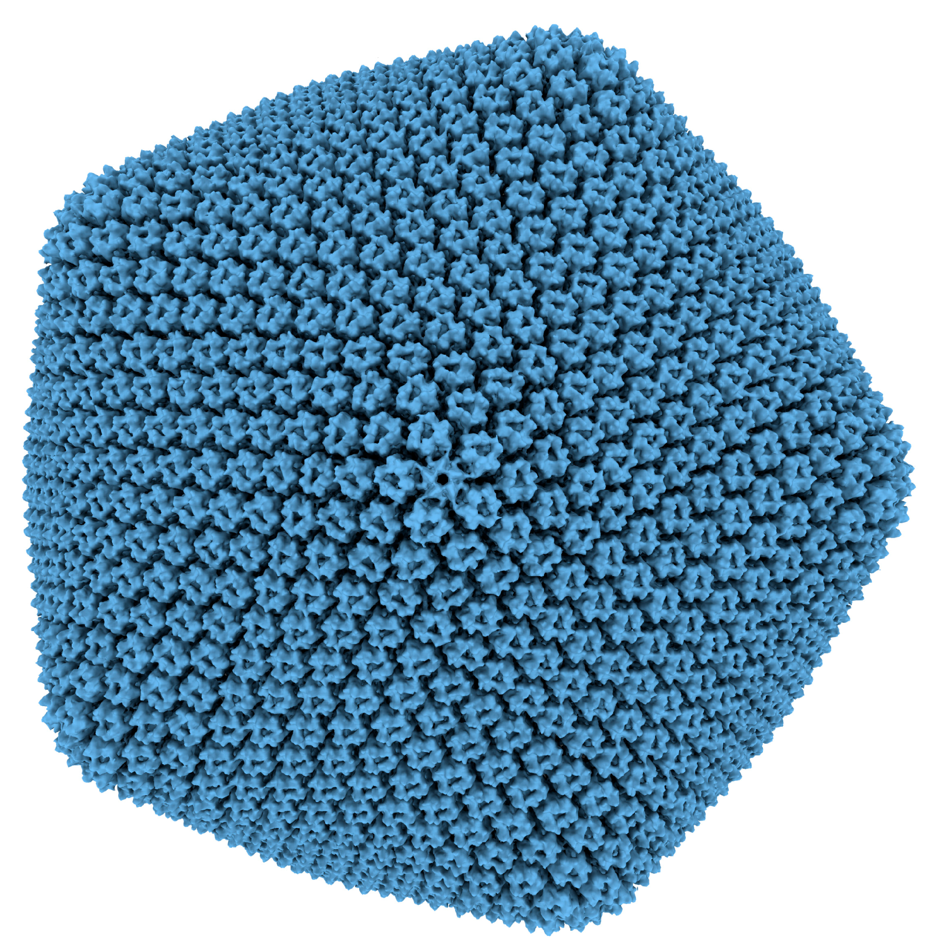 Viruses 10 00490 g001