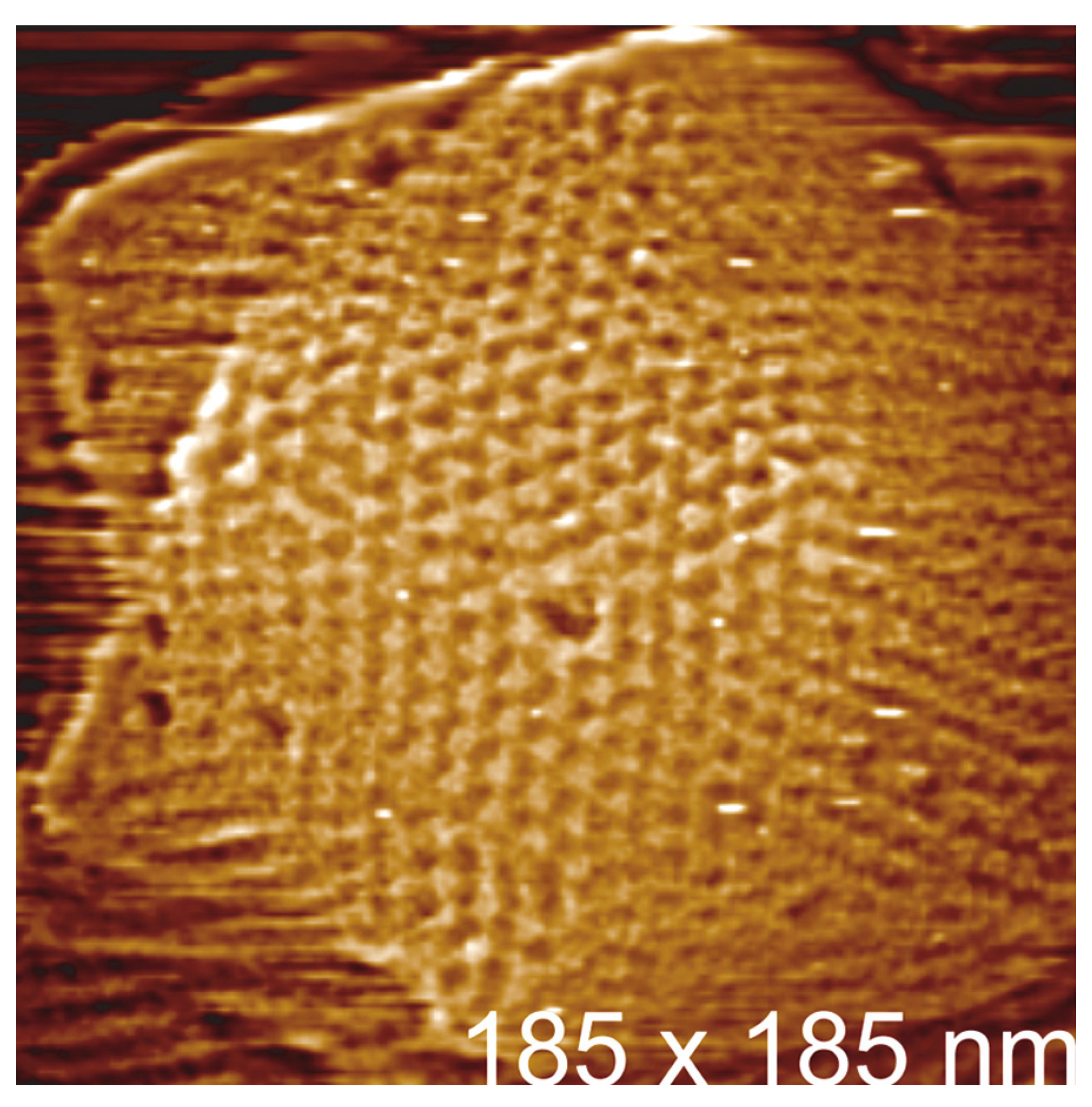 Viruses 10 00490 g003