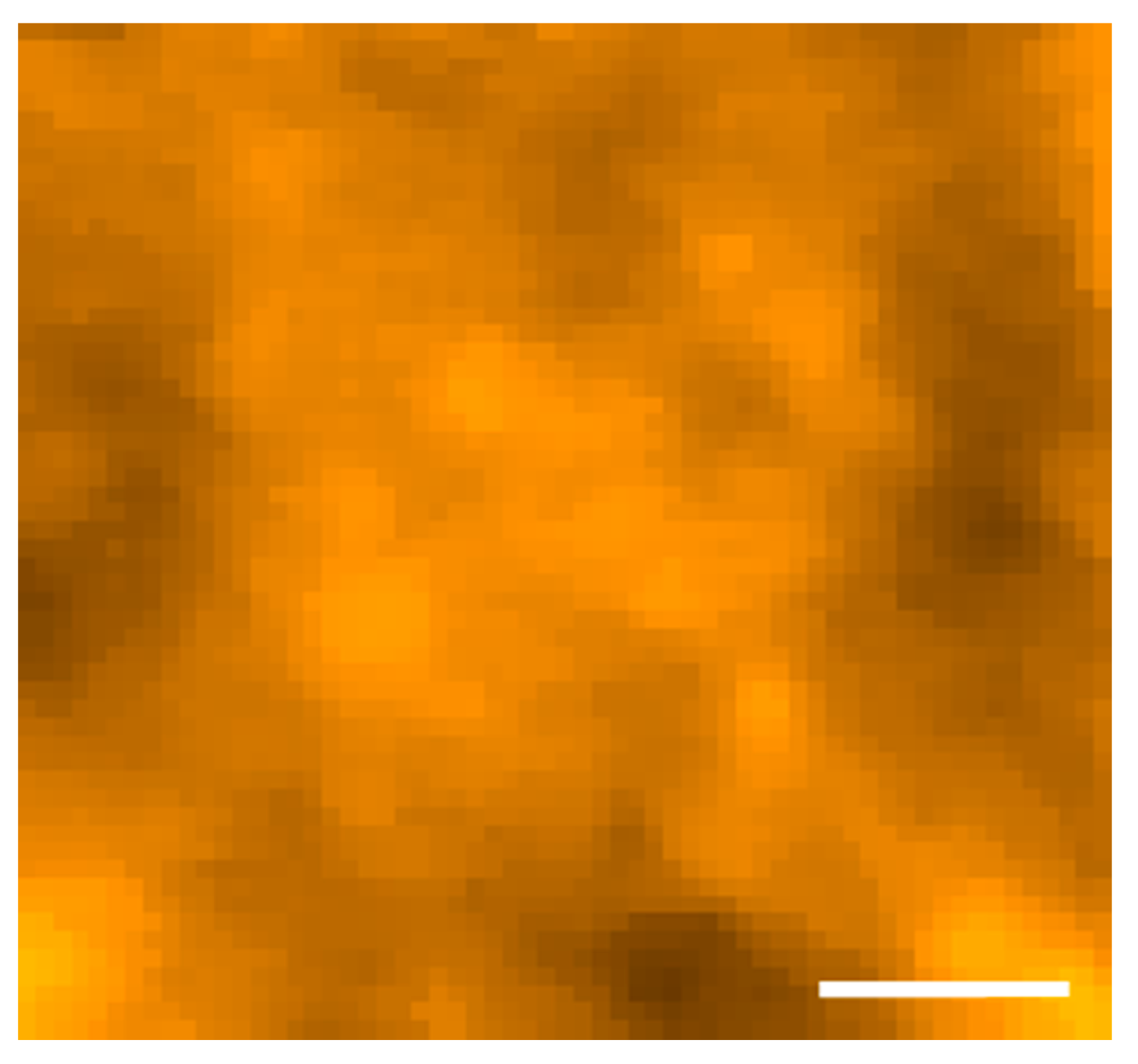 Viruses 10 00490 g005
