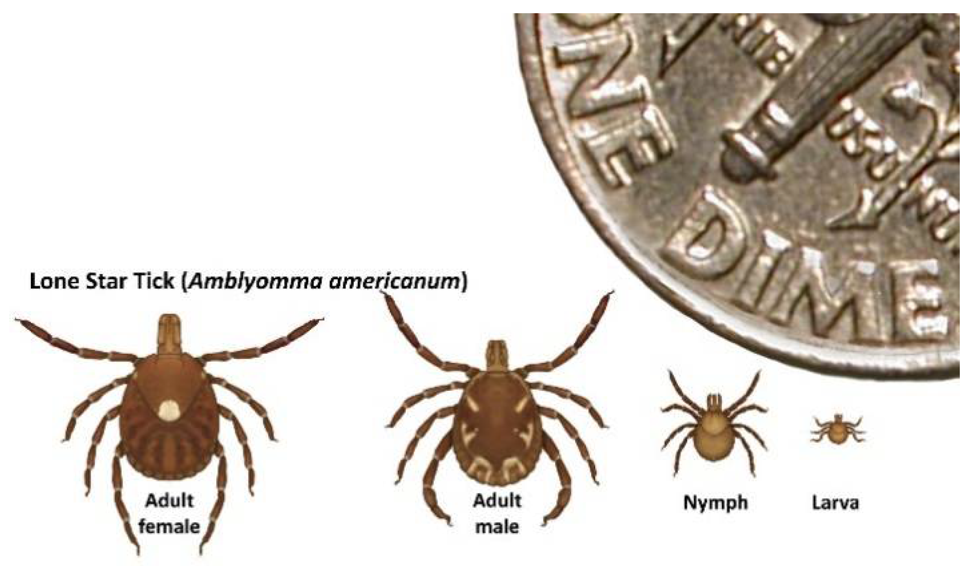 Viruses 10 00498 g003 Viruses 10 00498 g003