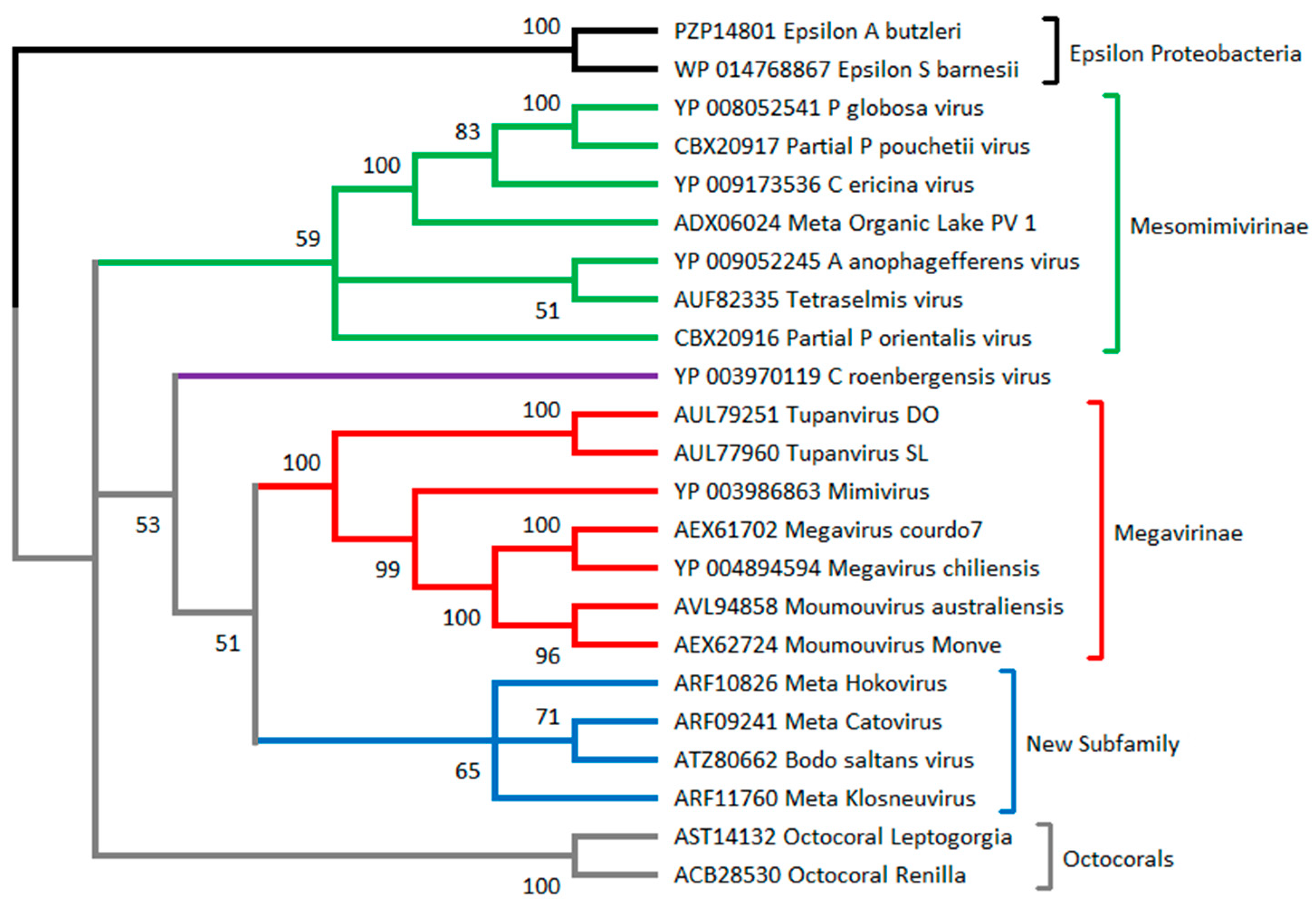 Viruses 10 00506 g002