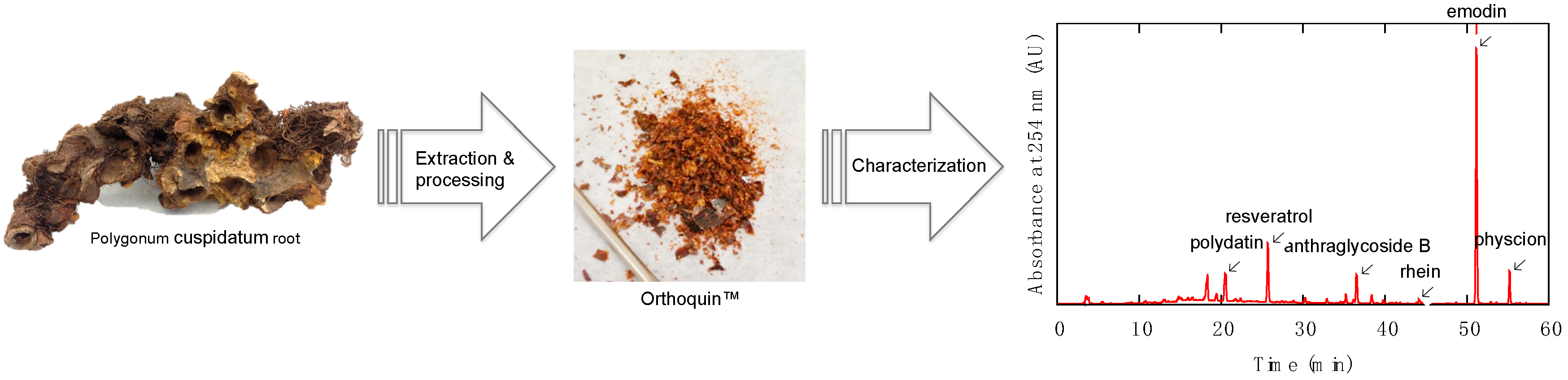 Viruses 10 00532 g001 Viruses 10 00532 g001