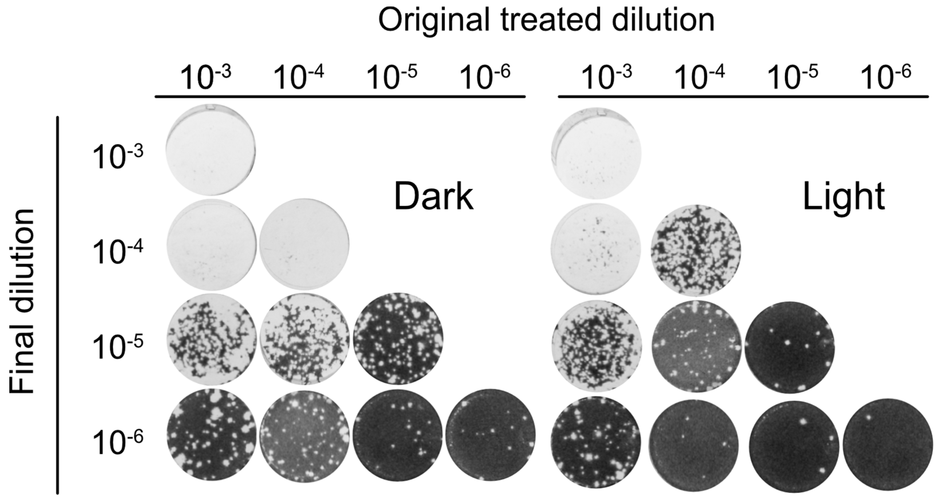 Viruses 10 00532 g005 Viruses 10 00532 g005