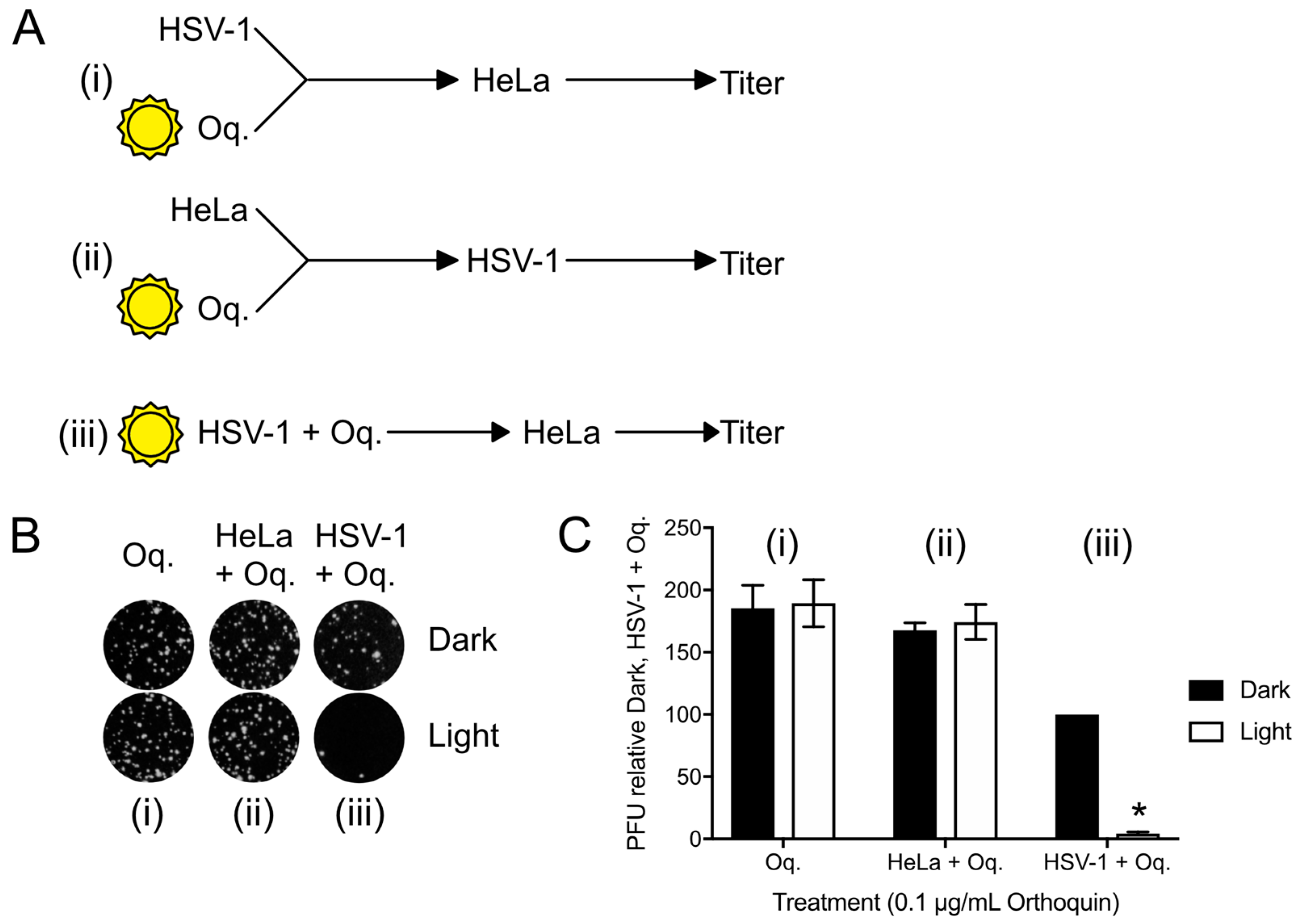 Viruses 10 00532 g006 Viruses 10 00532 g006