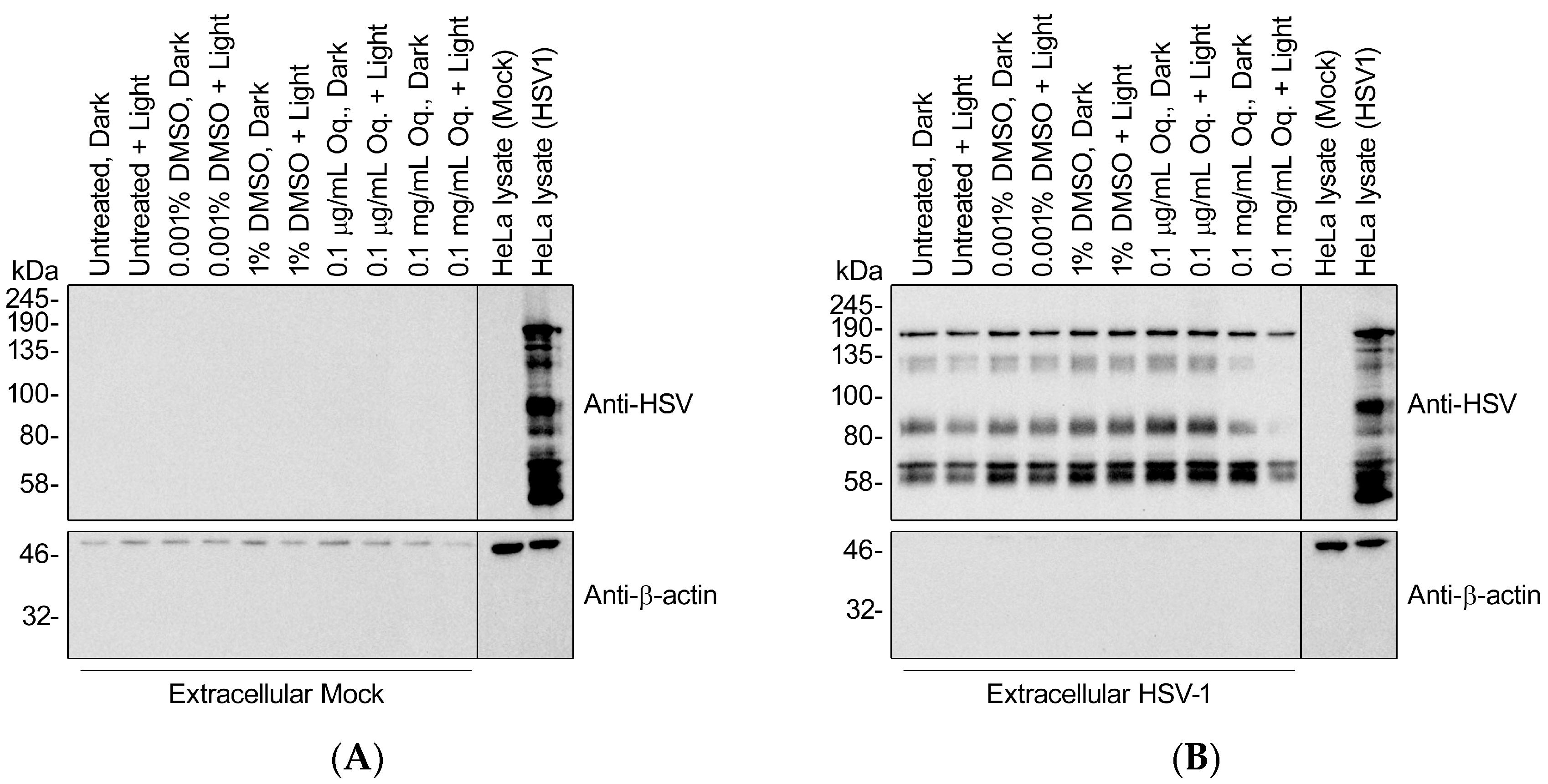 Viruses 10 00532 g008 Viruses 10 00532 g008