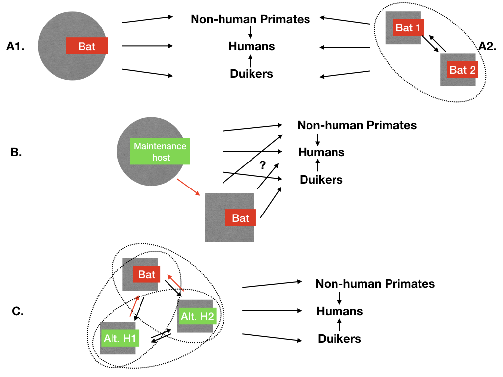 Viruses 10 00549 g001