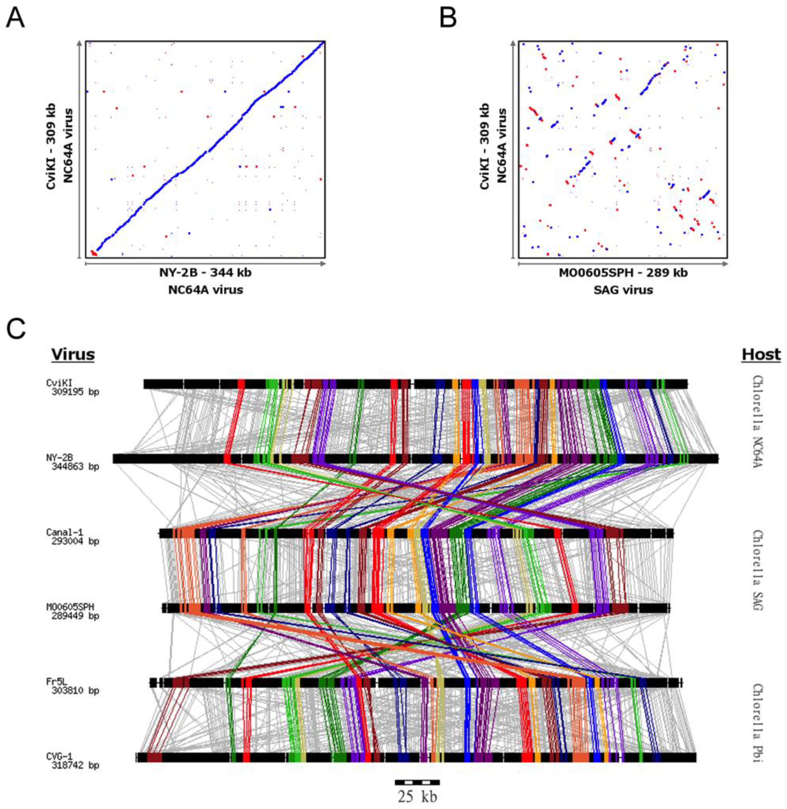 Viruses 10 00576 g001 Viruses 10 00576 g001